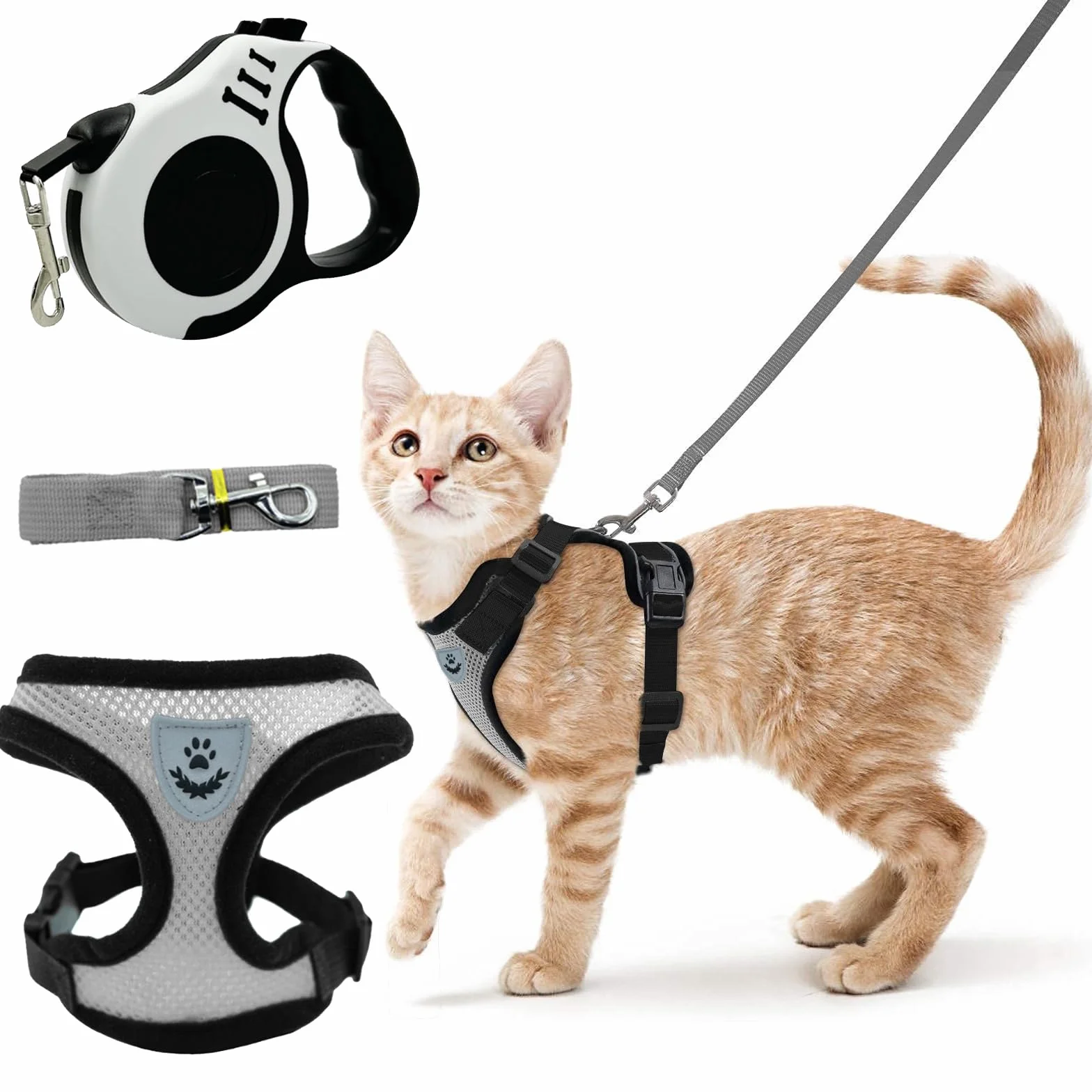 Harnais Chaton Anti Évasion Réglable Gilet Respirant pour Petit Chien, Lapin, Chat Européen, Maine Coon et Persan