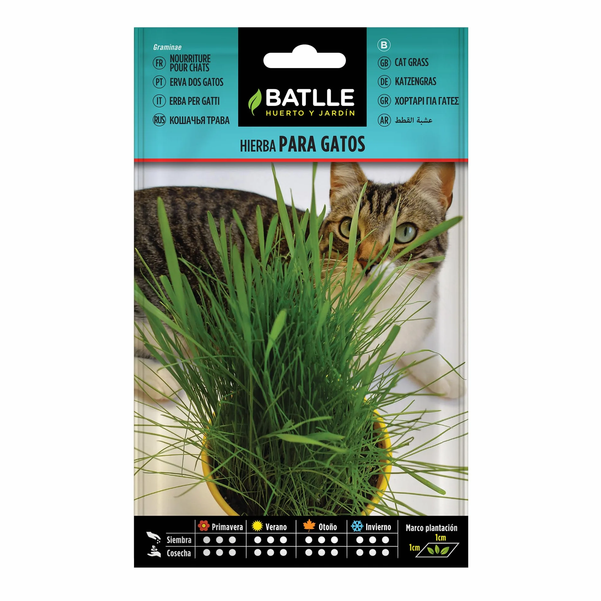 Batlle Herbe à chat Graines aromatiques 15g