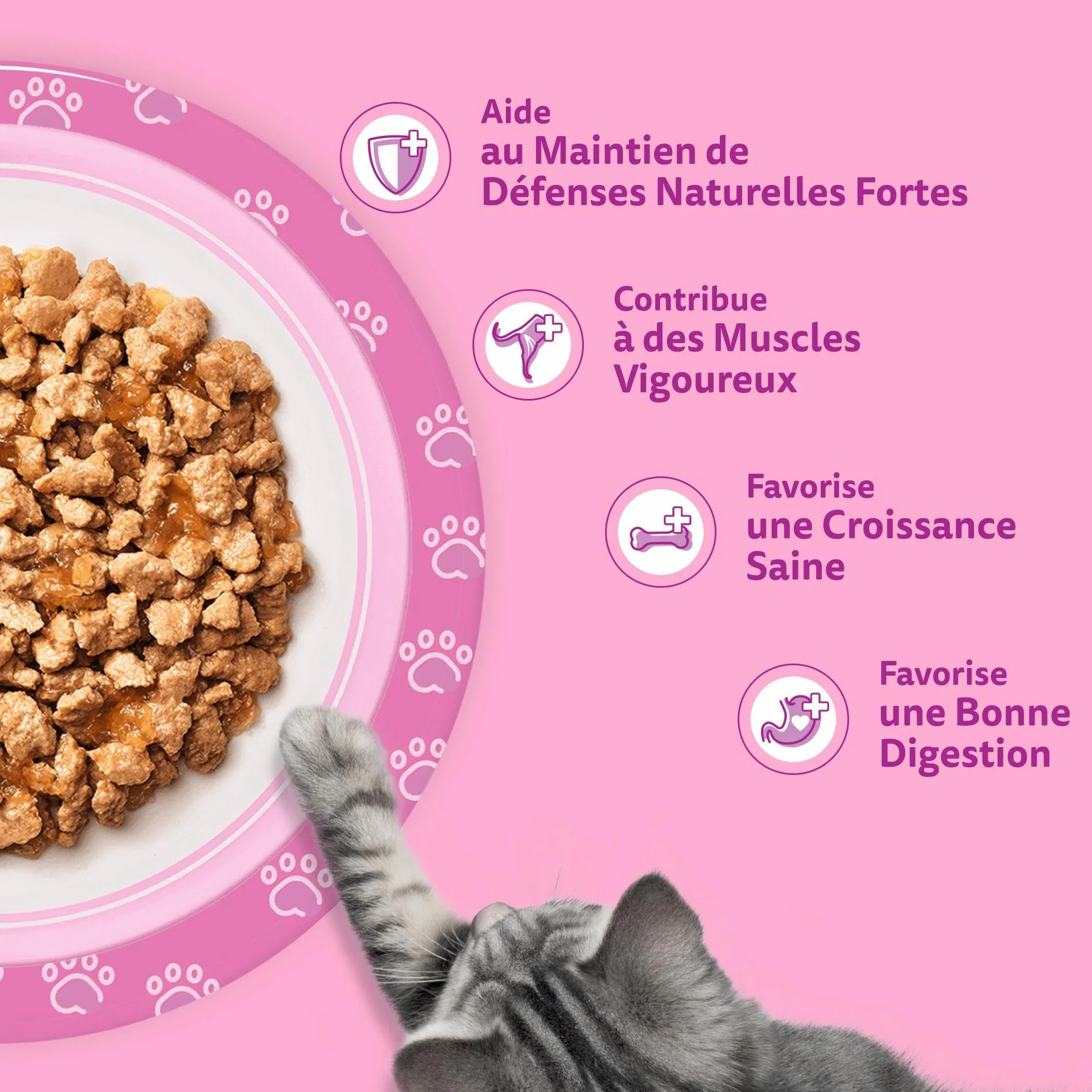 WHISKAS Aliment humide en gelée Chat junior 12x85g Festins à la Volaille Lot de 4 48 Sachets