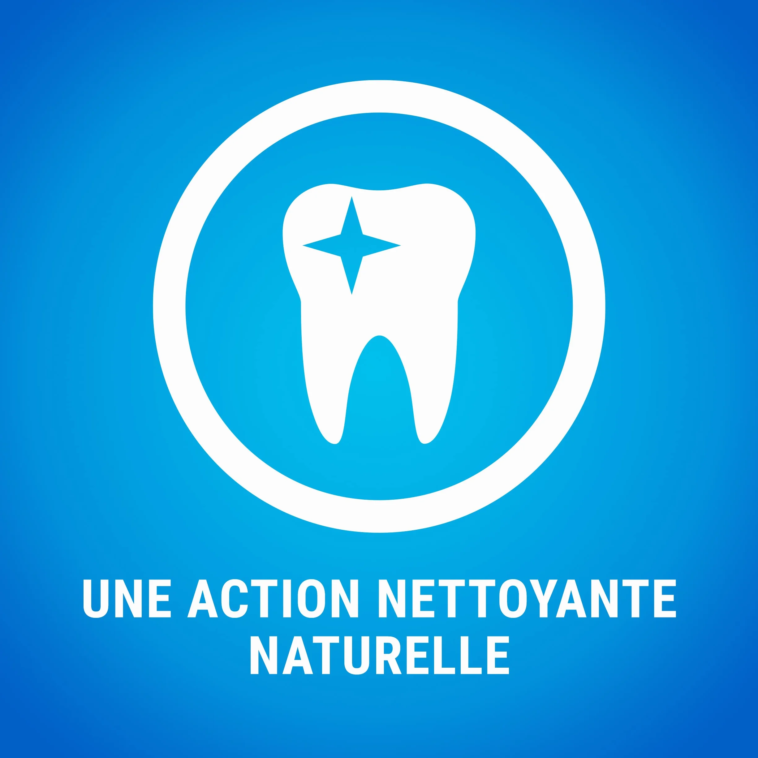 DENTALIFE Maxi MultiPack Friandises 1272g