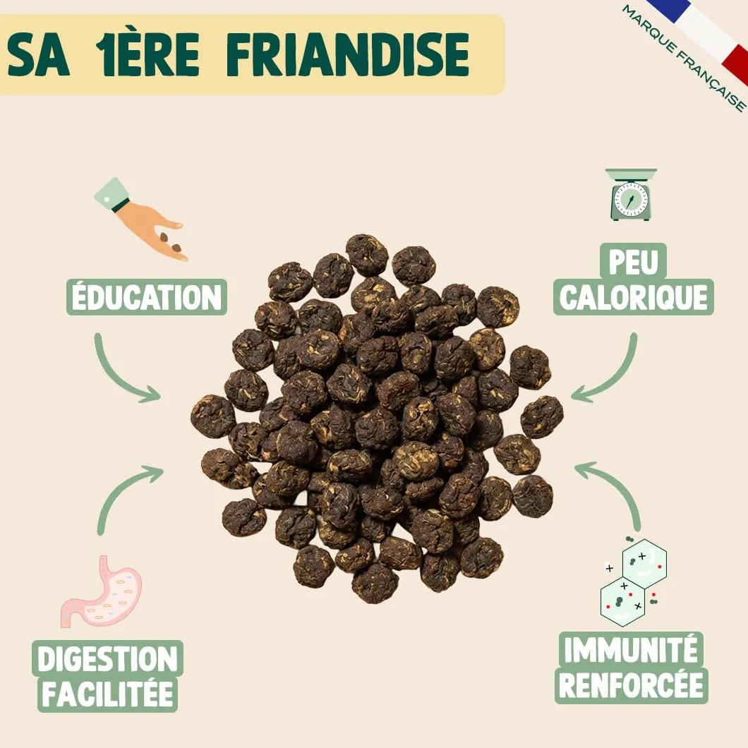 Franklin Friandise pour Chiot 90% Bœuf sans Céréales Riche en Protéines 80 g