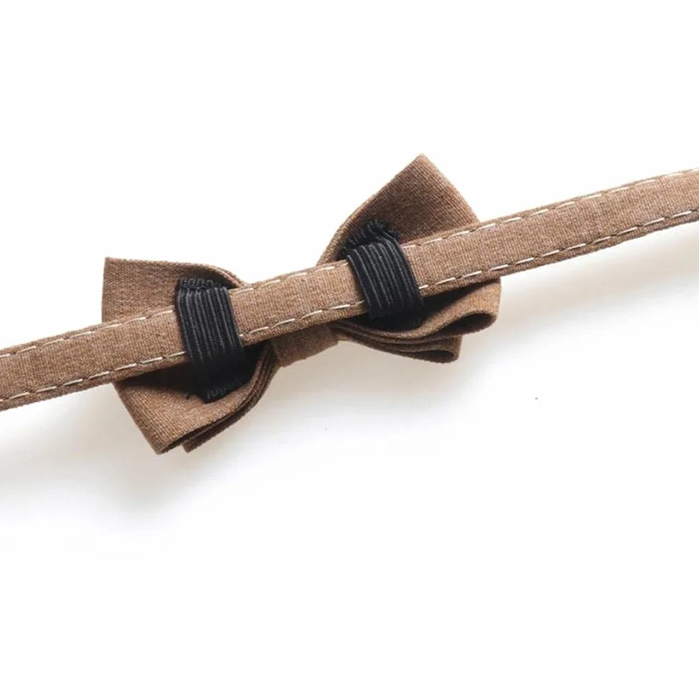 Collier pour chat avec clochette, réglable, fermeture rapide de sécurité