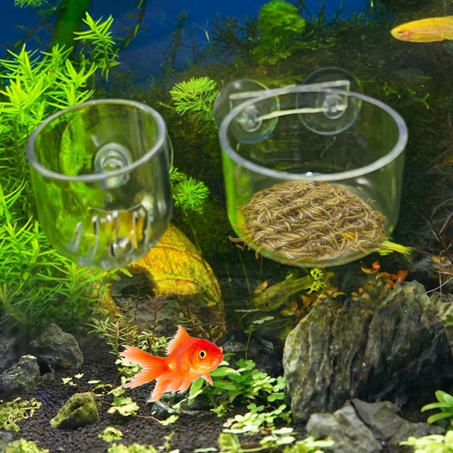 Lot de 10 Plante Aquarium Pots Holder avec Ventouses, Support en Acrylique Aquarium Cup Mini Fish Tank Decoration pour Plantes Accessoires Transparent