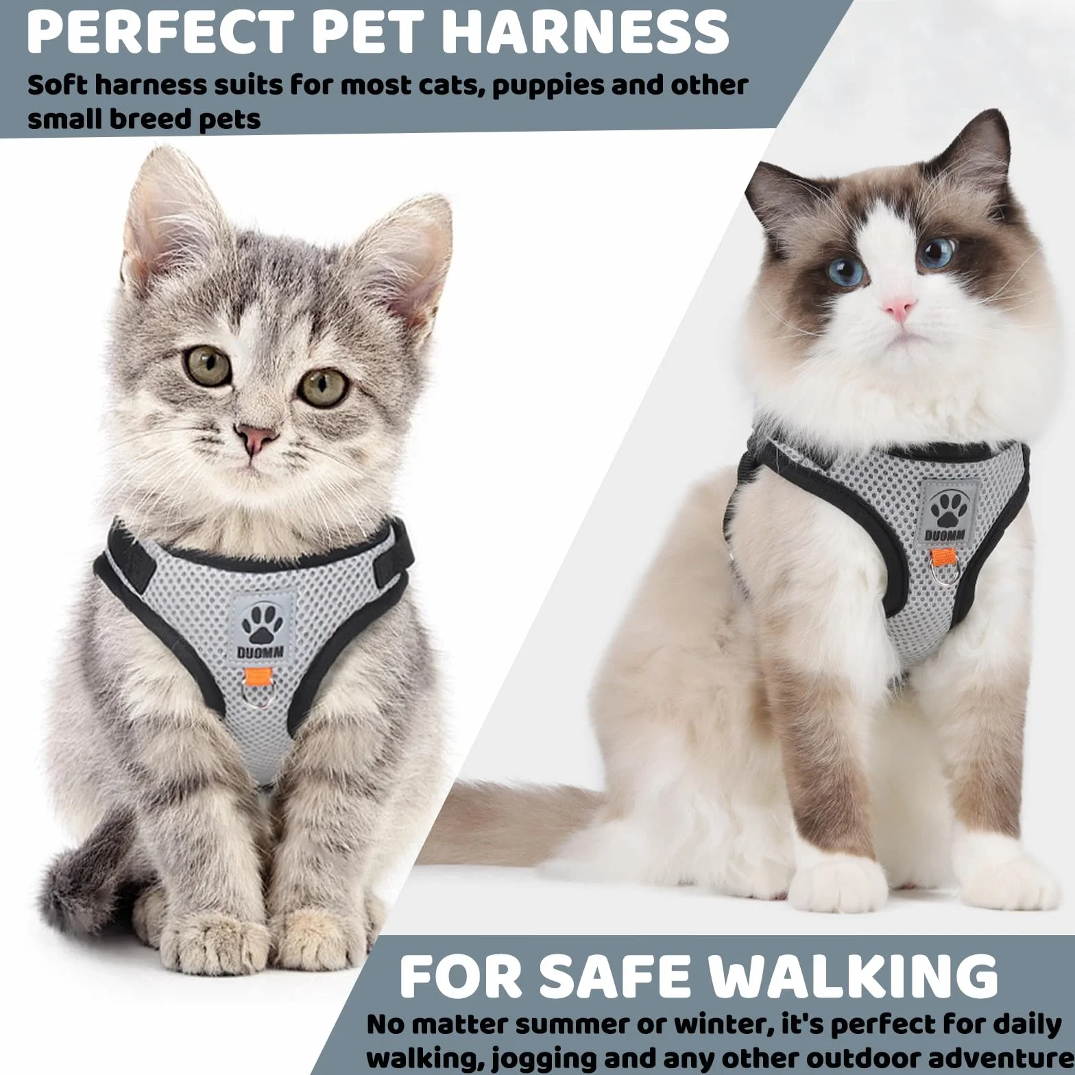 Harnais Chat Rétractable Laisse Réglable Réfléchissant 3m pour Petit Chien