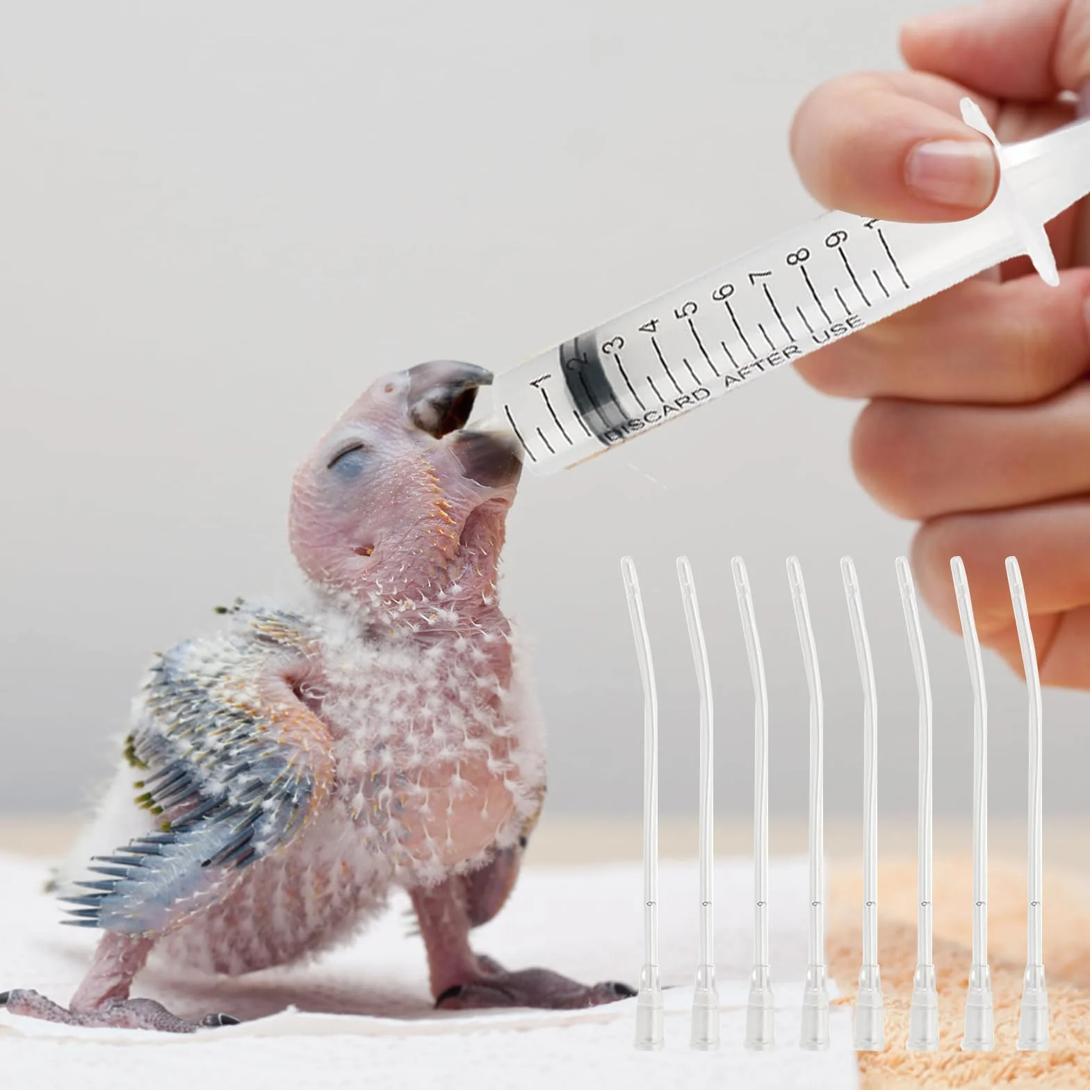 Sondes d'alimentation pour Oisillons avec 2 Seringues 10 ML pour Perroquets et Petits Animaux