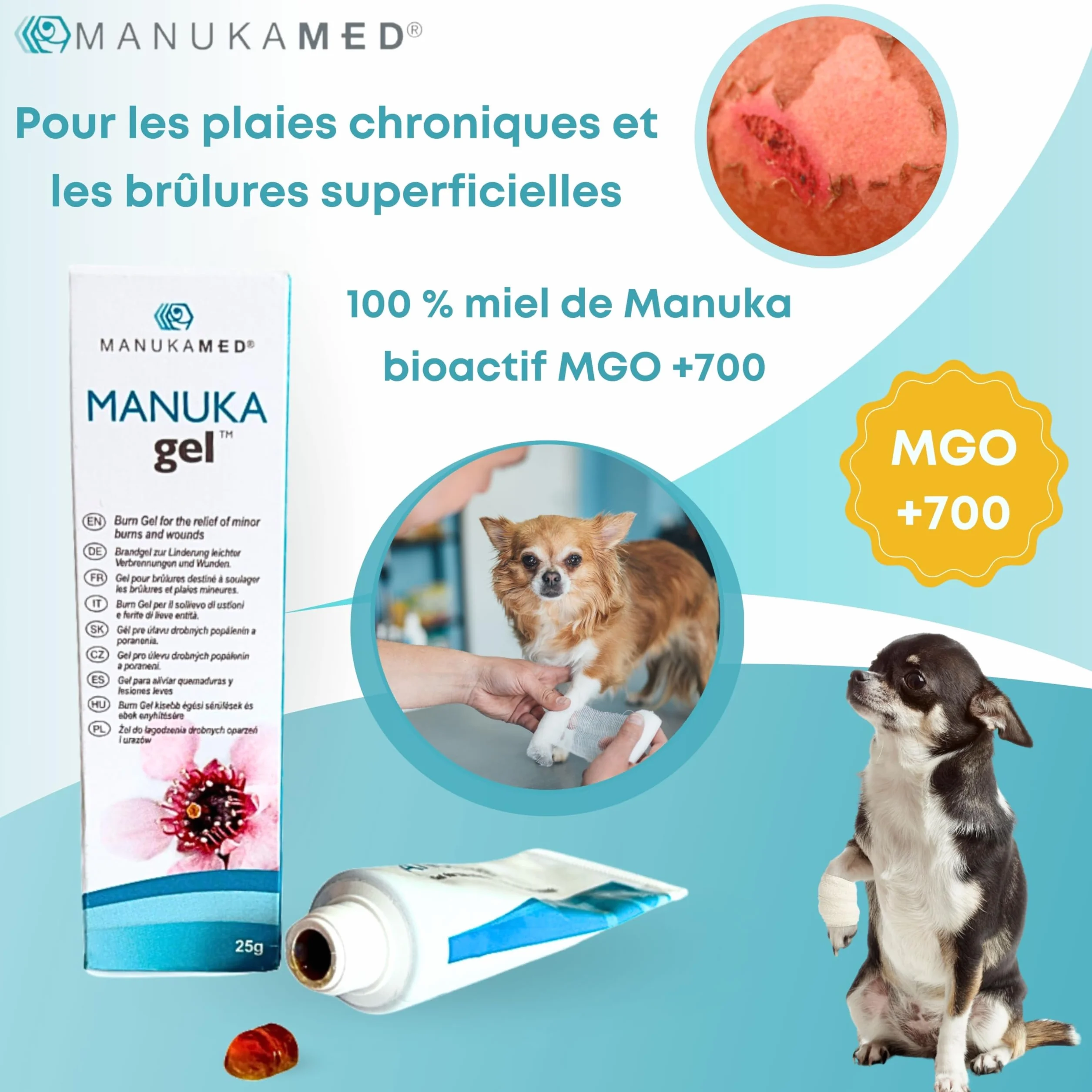ManukaMed MANUKAgel Crème cicatrisante pour Chiens Chevaux Chats MGO 560+ antibactérien 25 g