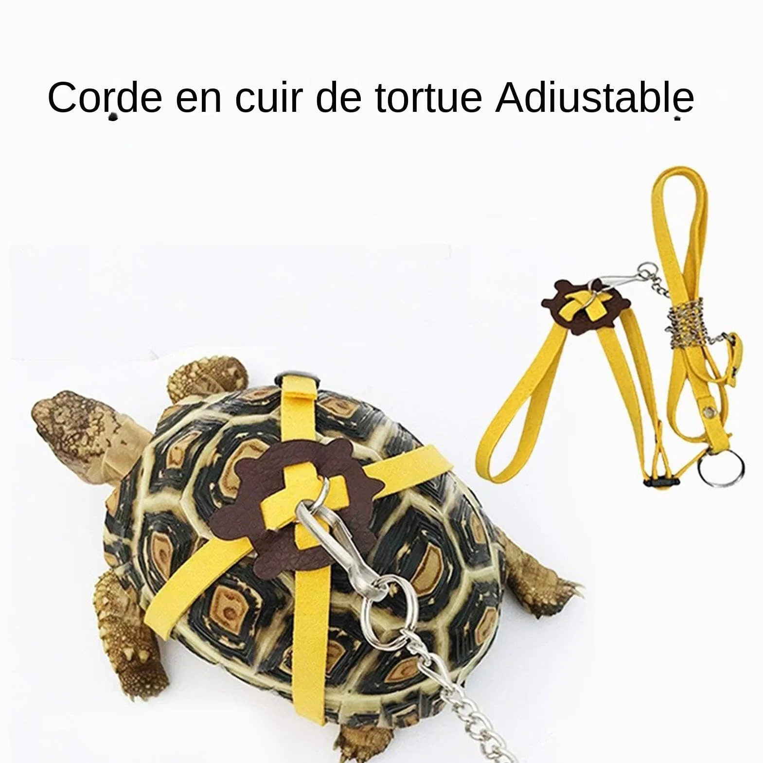 Harnais de Tortue avec Corde de Marche réglable, Jouet de Skateboard pour Tortue