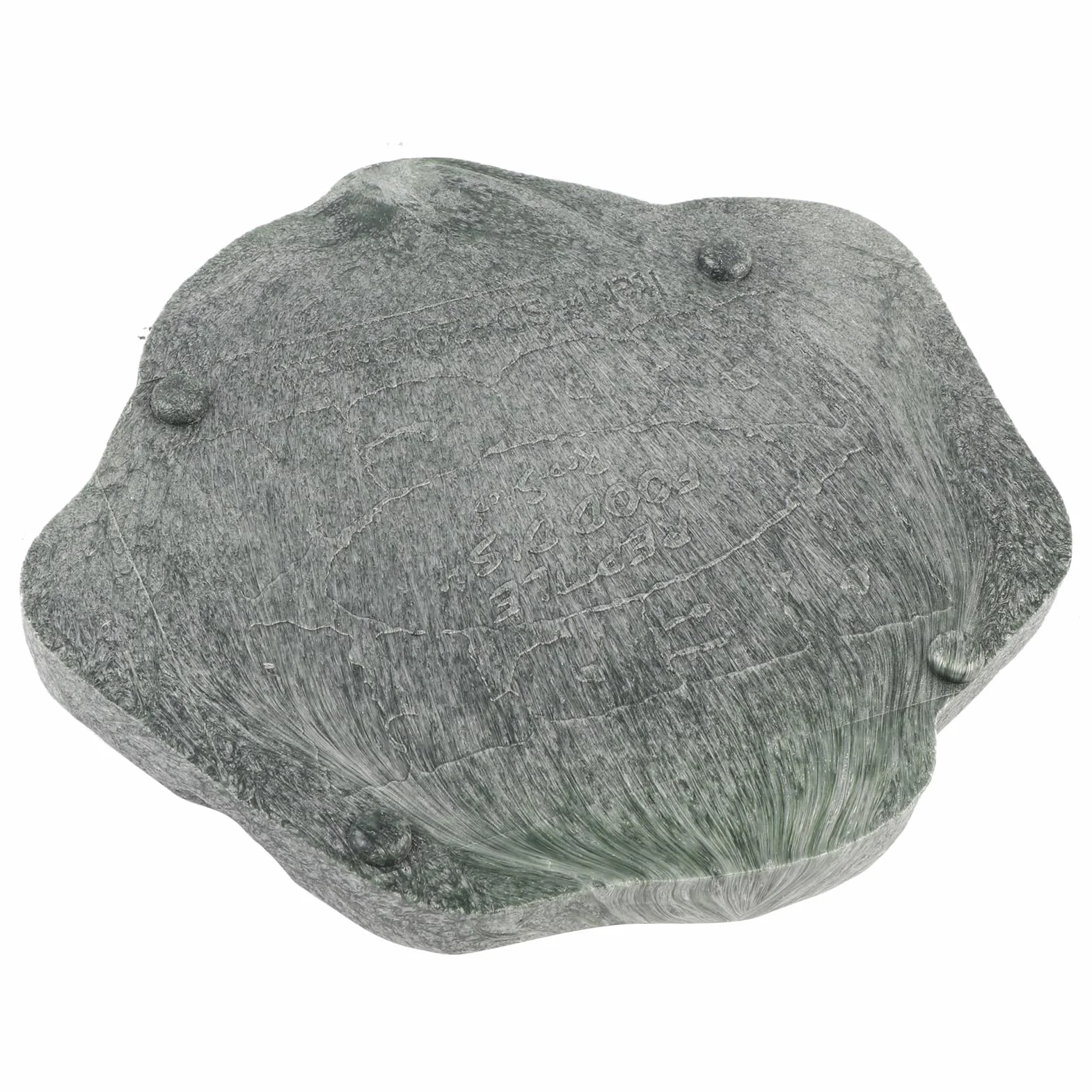 Bol d'eau et de nourriture pour Reptiles en Résine ABS Durable Noir S