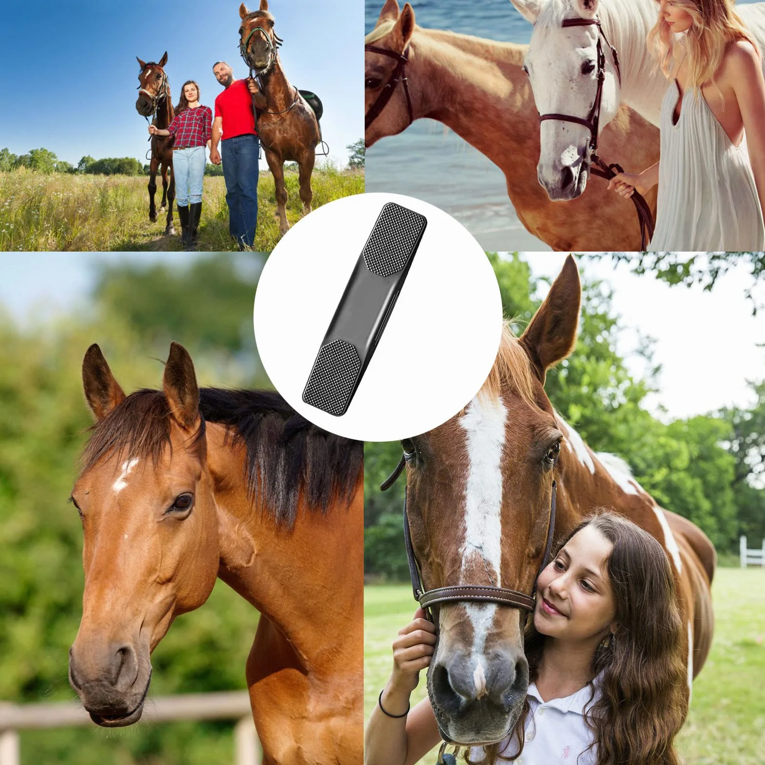 Brosse de Cheval Massage 6 en 1 Brosse pour la Mue Cheval Noir