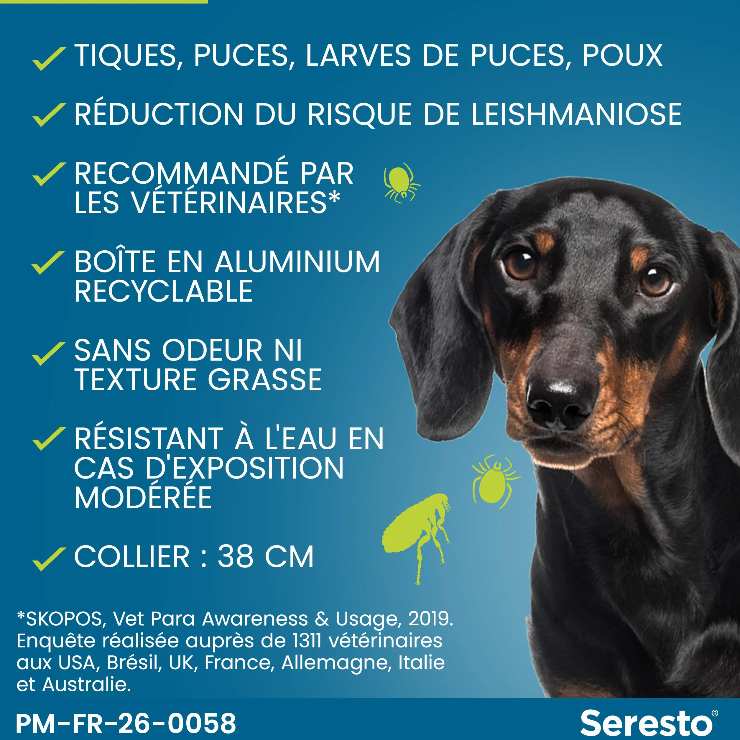 Seresto Collier Petits Chiens – Anti puces et anti tiques pour chiens moins de 8 kg – Protection 7-8 mois, réduit leishmaniose – Gris