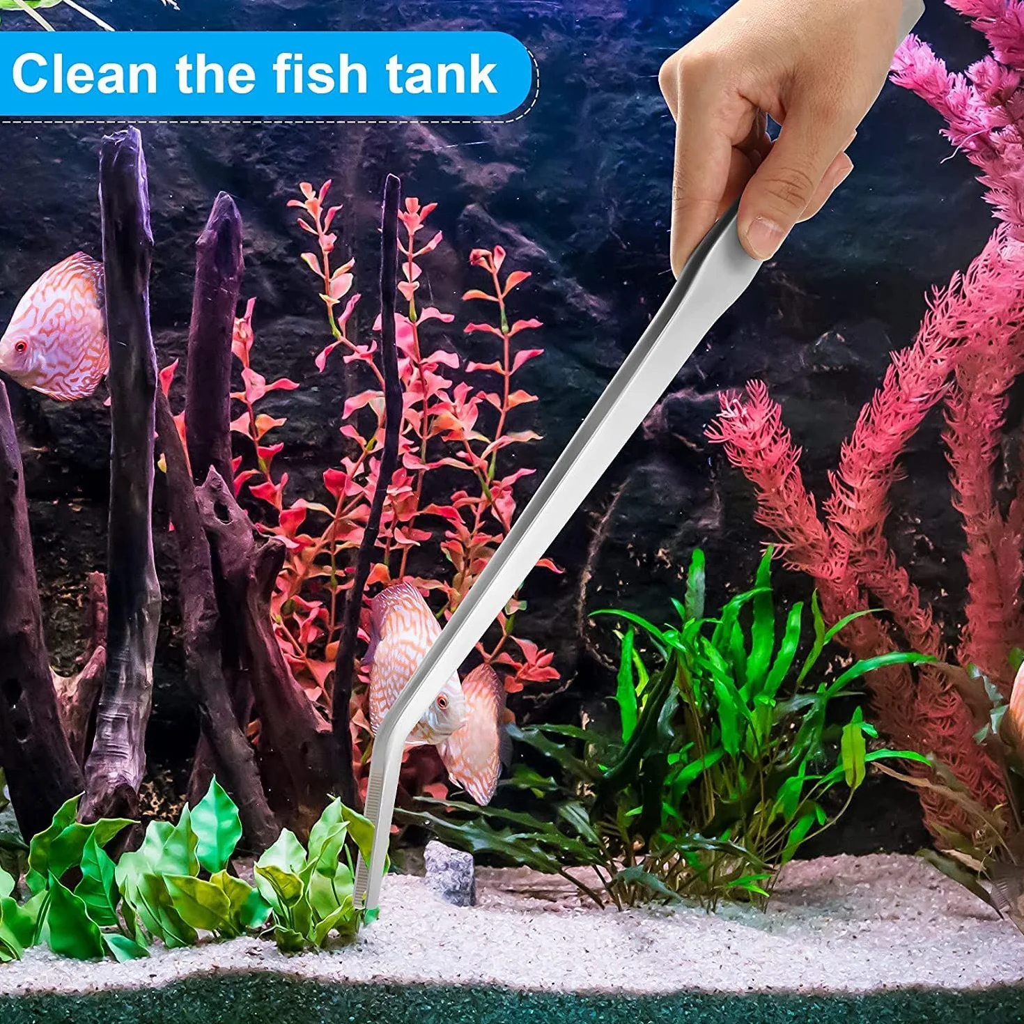Pince Ciseaux en Acier Inoxydable pour Aquarium, Kit 3-en-1 Outils de Poisson