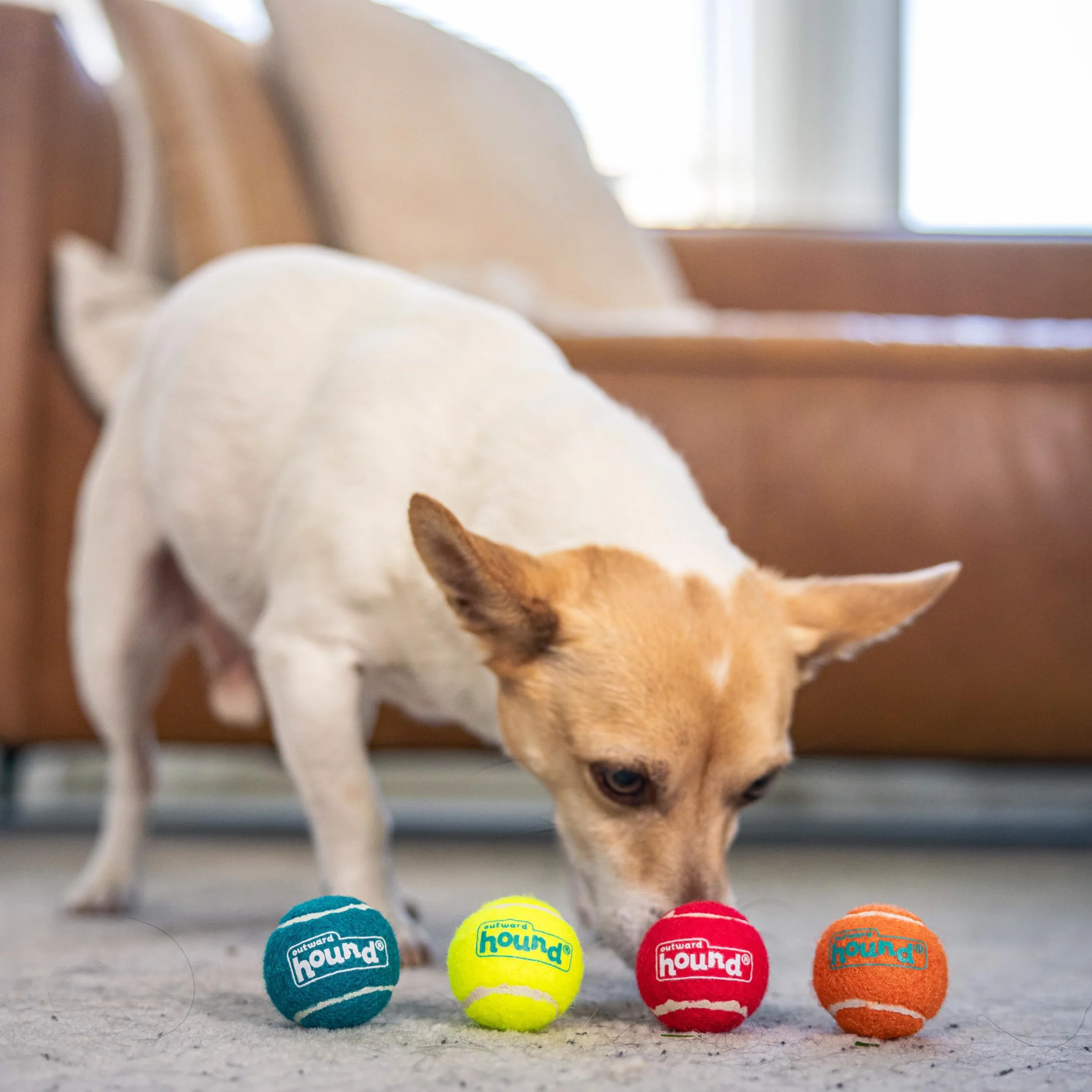Outward Hound Squeaker Ballz Balle pour Chien Lot de 4 XS