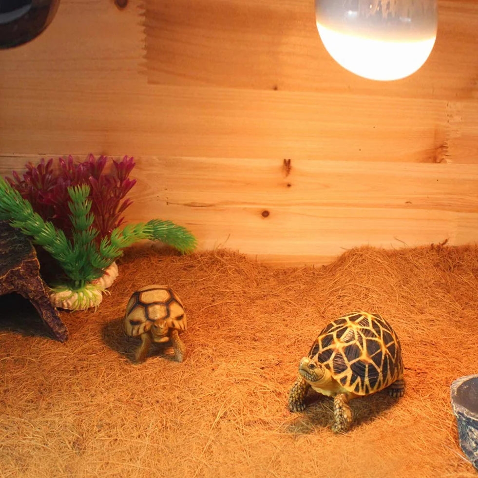 Reptile Fibre De Noix De Coco Tapis Substrat Serpent Terrarium Lézards Dragon Barbu