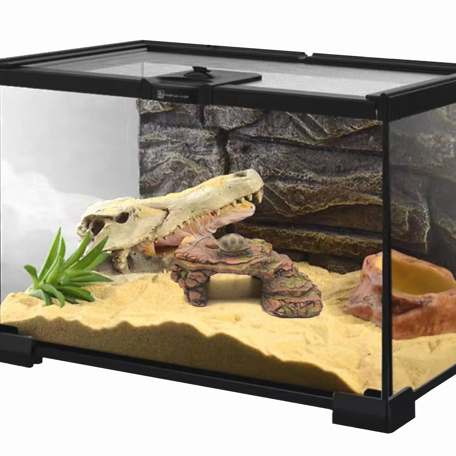 Abri Pour Tortue Caverne Reptiles Gecko Plateforme Rampes Accessoire Tortue Terrestre