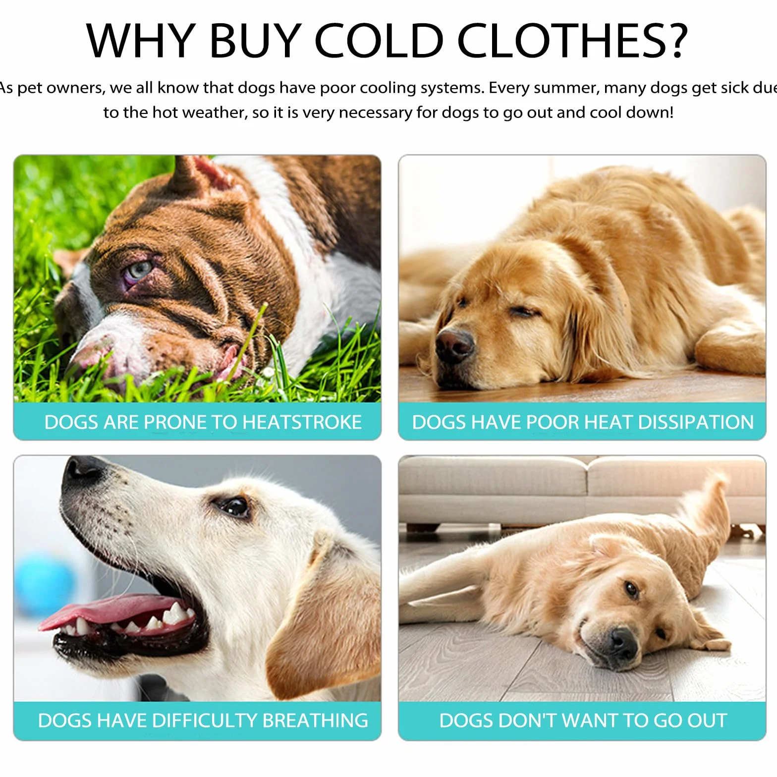 Gilet Rafraîchissant pour Chien, Manteau de Refroidissement UV pour Promenade Plages Activités Extérieures (M)