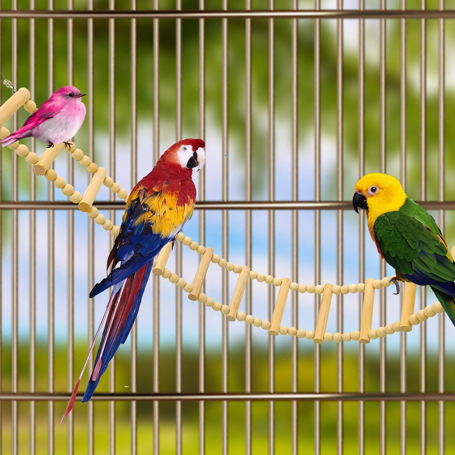 Échelle en Bois pour Oiseaux, Pont Balançoire pour Perruches et Perroquets, Jouet d'escalade pour Petits Animaux