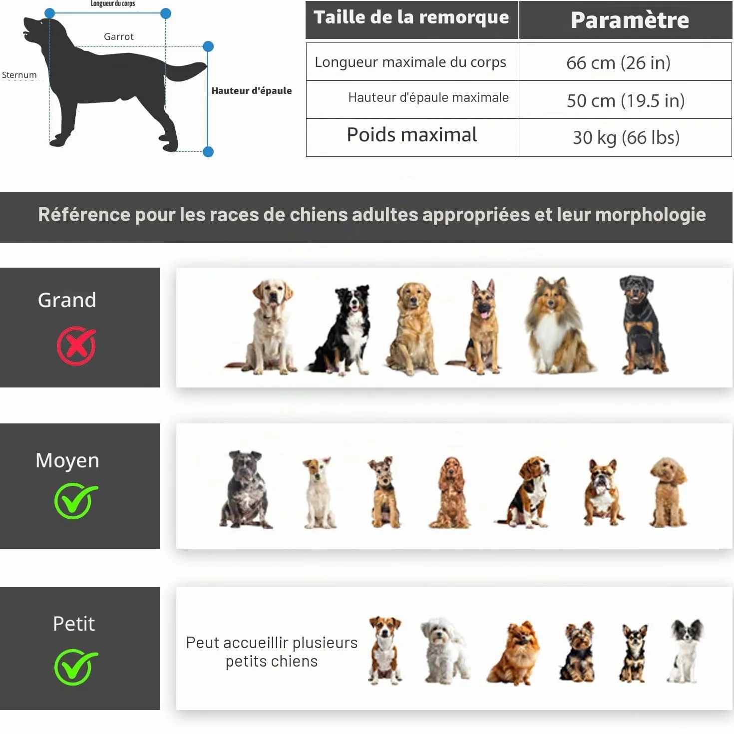 Remorque pour Chien 2 en 1 Vélo Jogging, Chariot Transport 30 kg Pliable avec Freins