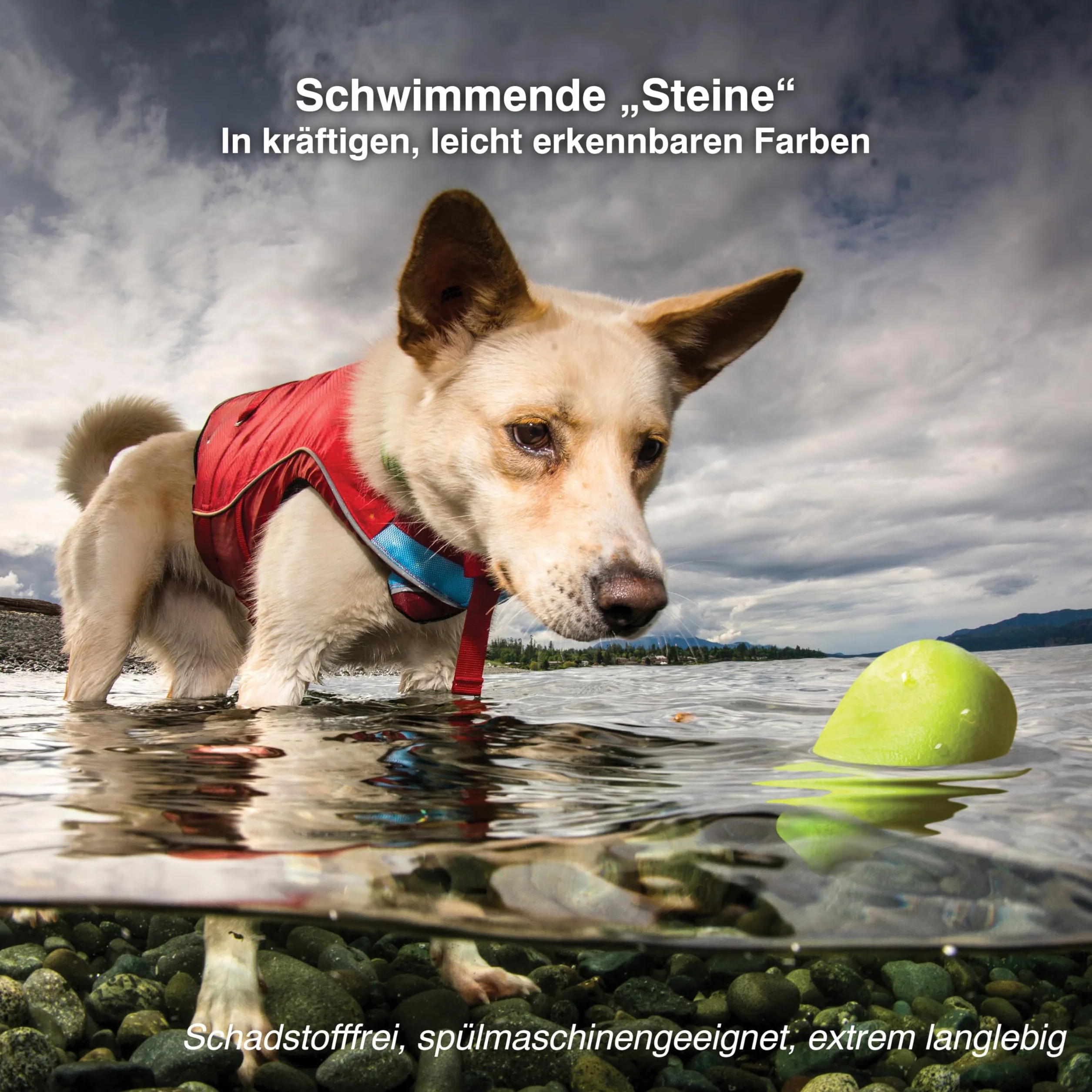 PetSafe Recharge Spray répulsif Automatique SSSCAT pour Animaux