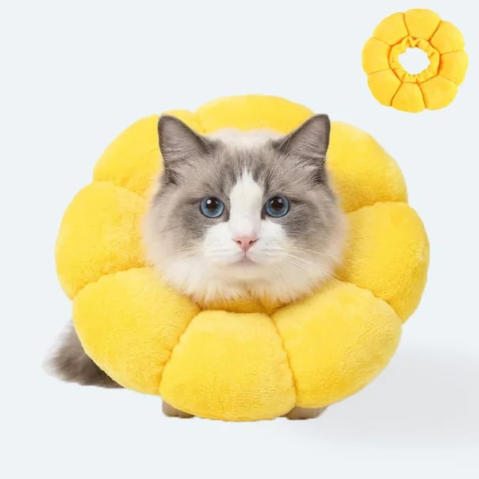 Collerette pour Chat Design Tournesol Collier Élisabethain Doux Protection Après Opération Anti Léchage Réglable