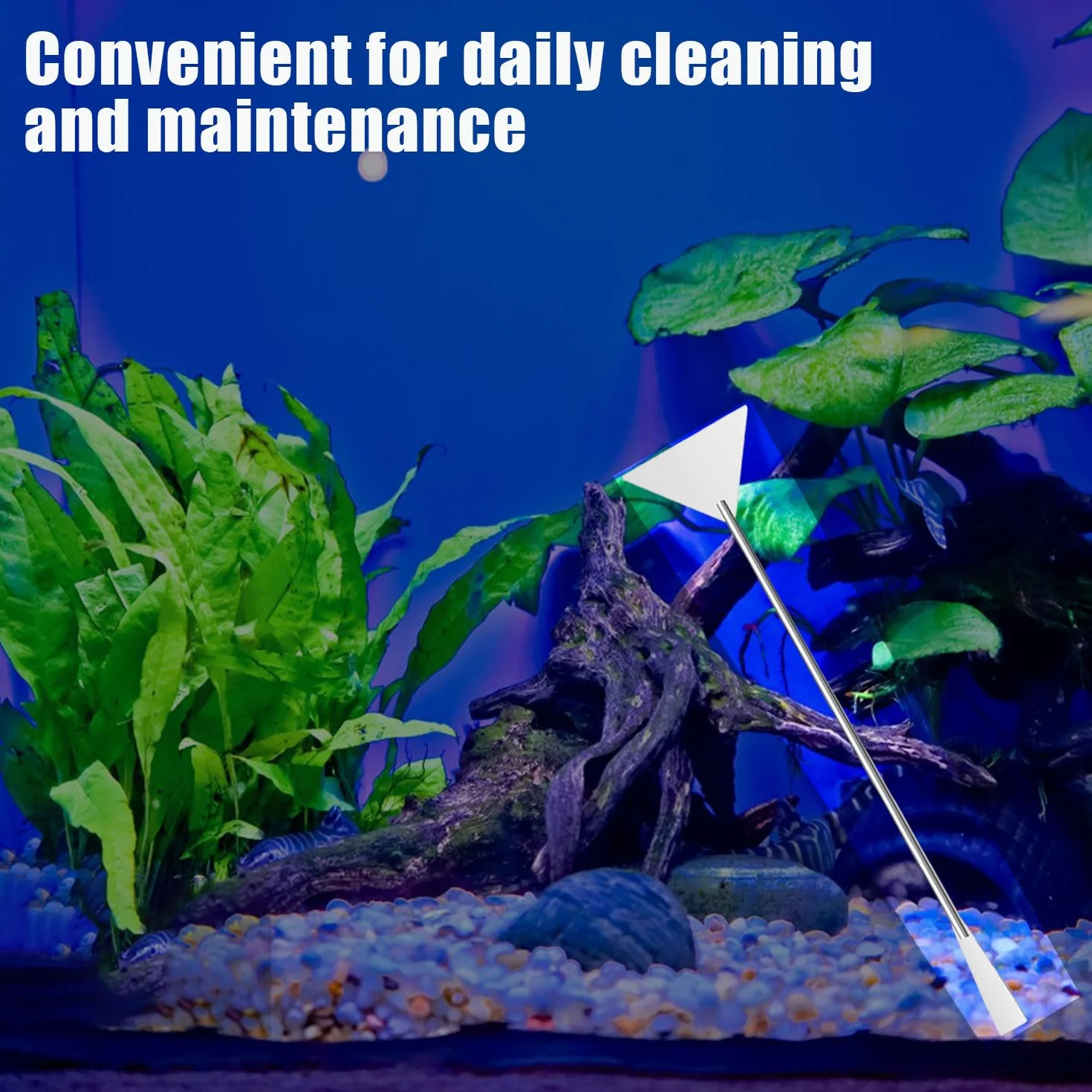 RYAN 4 Pièces Accessoires Aquarium Acier Inoxydable Kit Terrarium Plante Pinces Ciseaux Outils Set