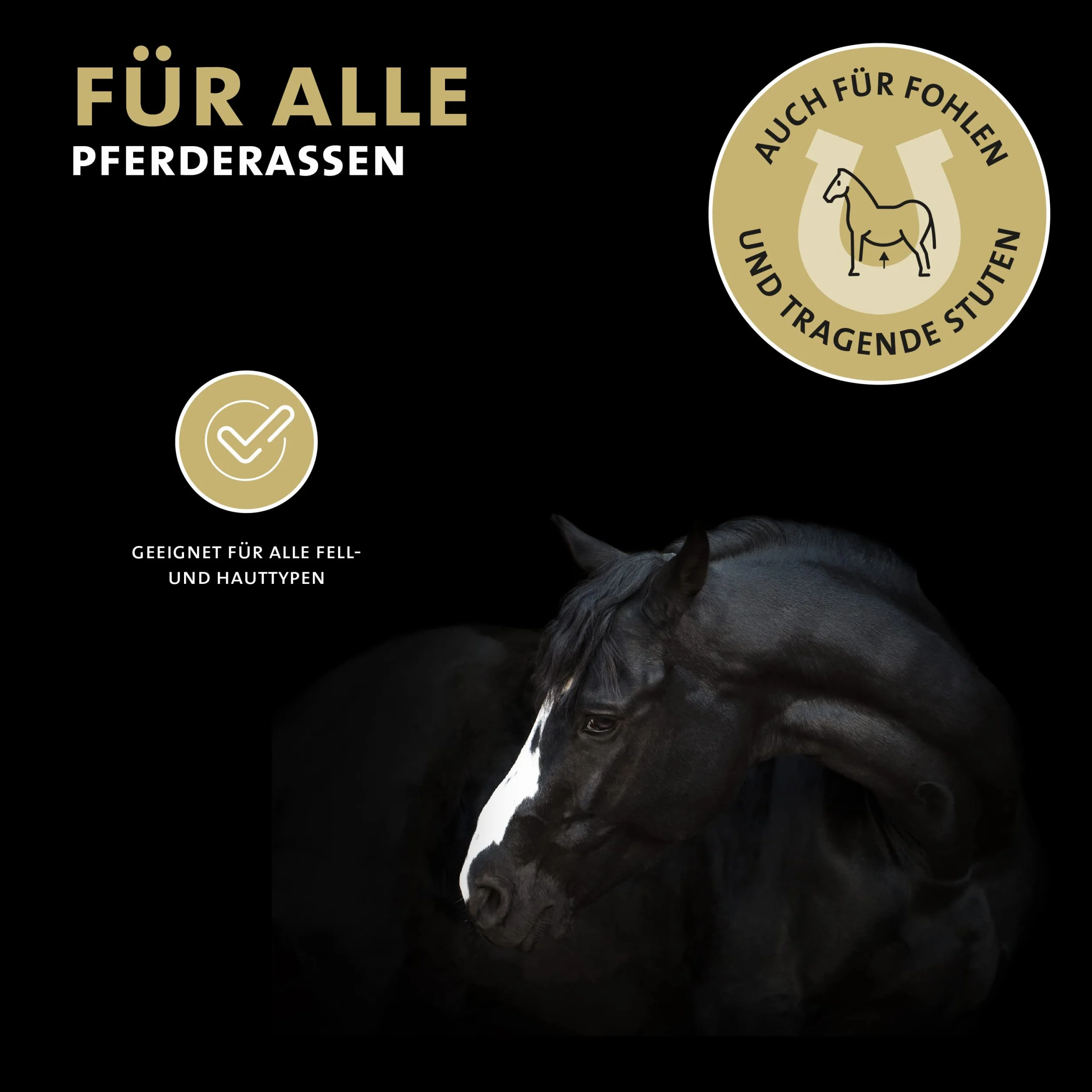 Peticare Cheval Pommade Spéciale Soins Croûtes Plaies Dermatite Estivale Eczéma