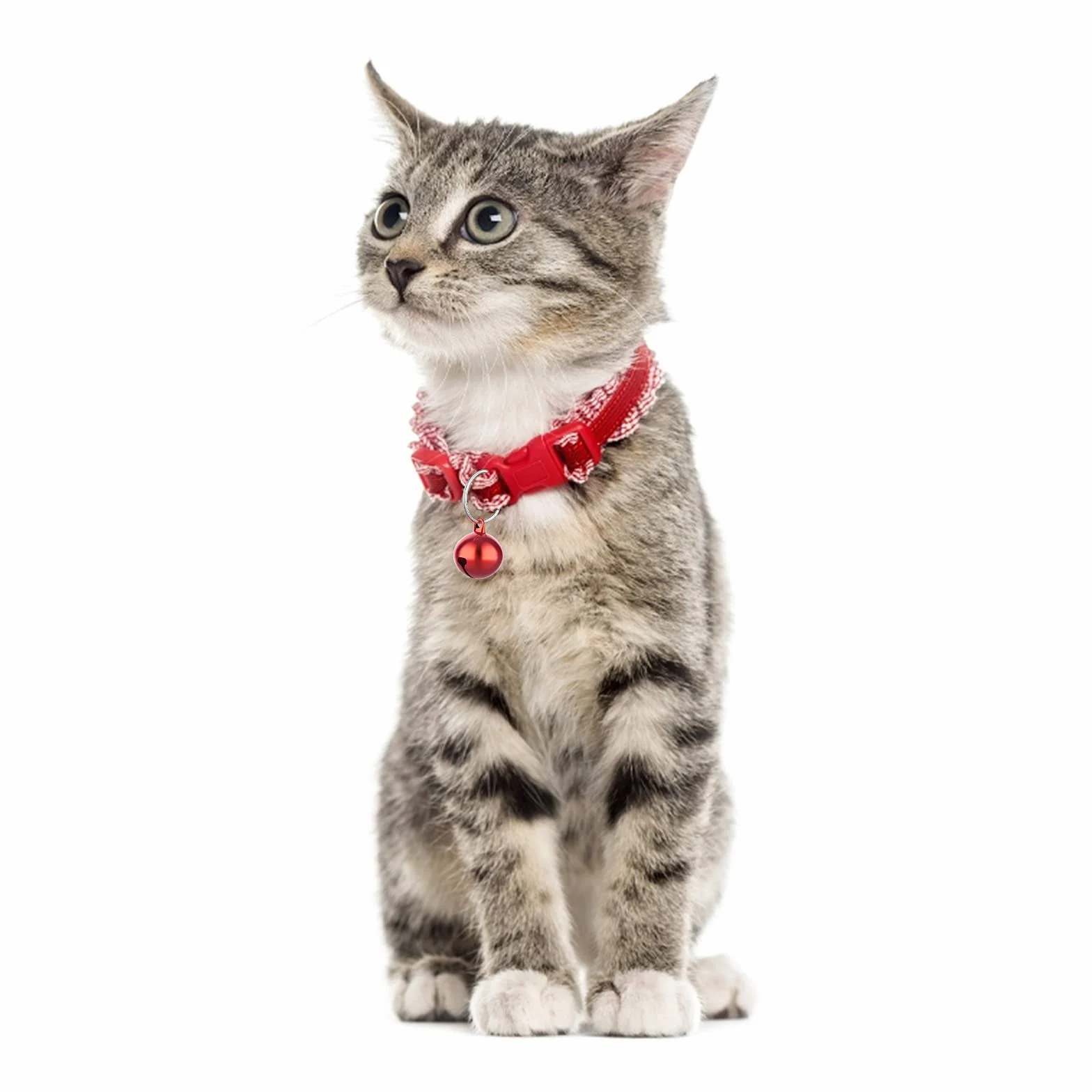 Molain Cloches de chat 24 pièces avec porte clés, Cloches de collier de chien formation Jingle Bell