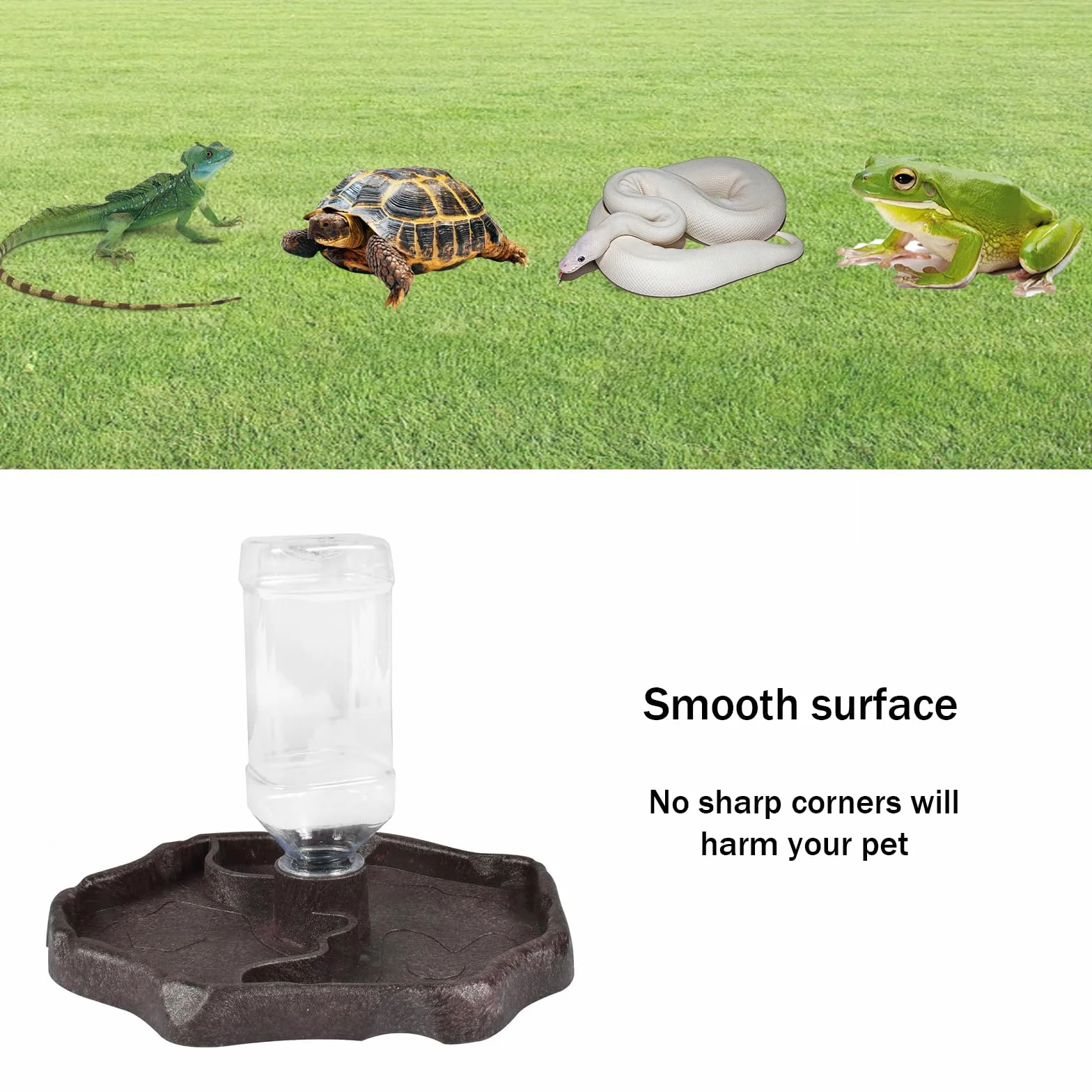 Distributeur d'eau pour Reptile 2 en 1 Anti Débordement Plastique Bol pour Tortues, Hamsters, Lézards