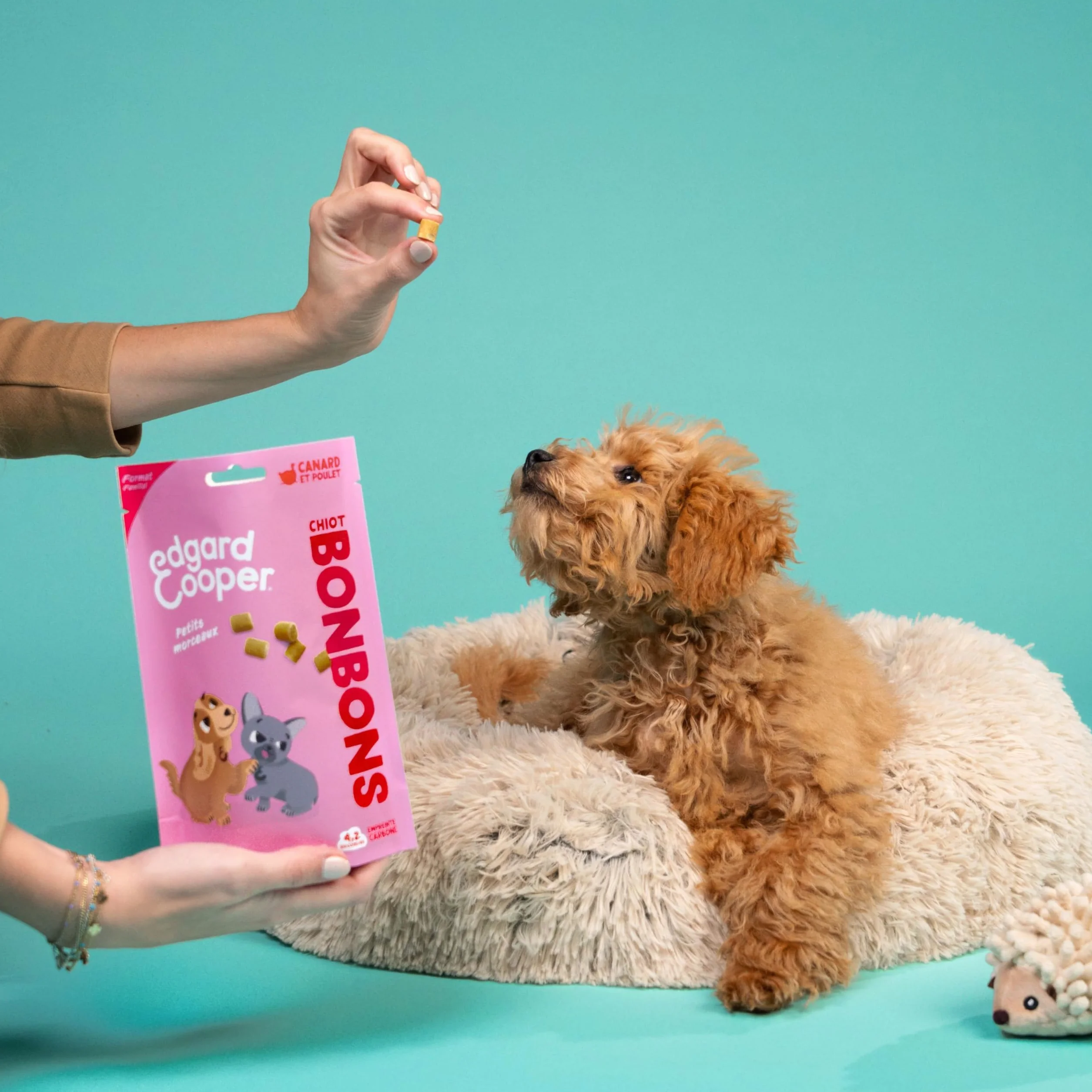 Edgard & Cooper Friandises pour Chien Naturelles sans Céréales Canard 50g