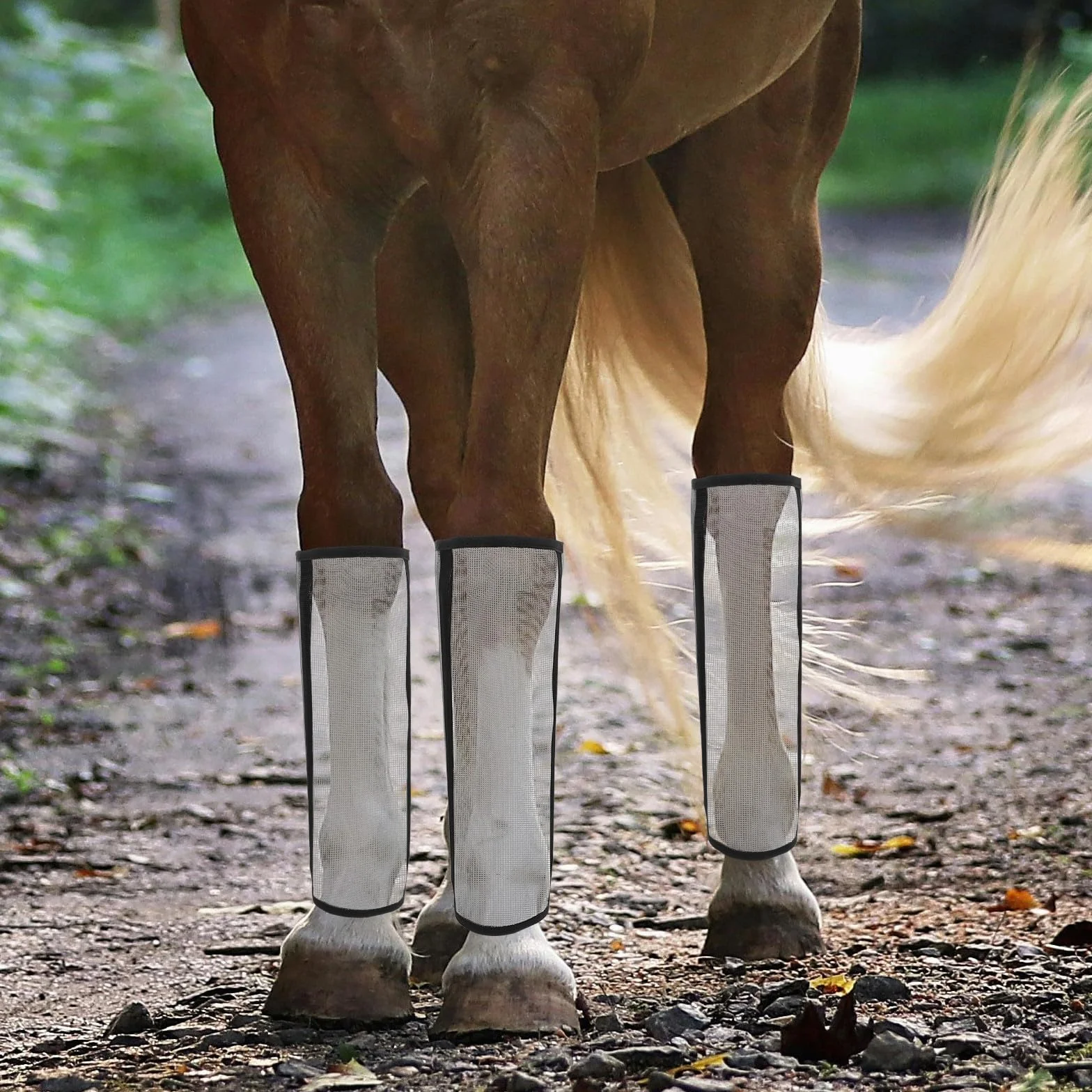 Guêtre Anti Mouche Âne Polyester Lot 4 Pièces Protection Respirante Jambes Cheval