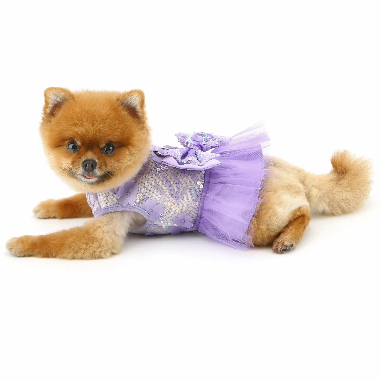 Robe à motif floral pour petit chien et fille avec anneau en D et nœud en dentelle