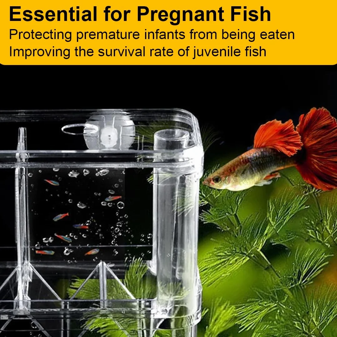 Boîte d'Élevage pour Aquarium avec Compartiment Isolant - Mini Aquarium Bebe Pondoir pour Poissons
