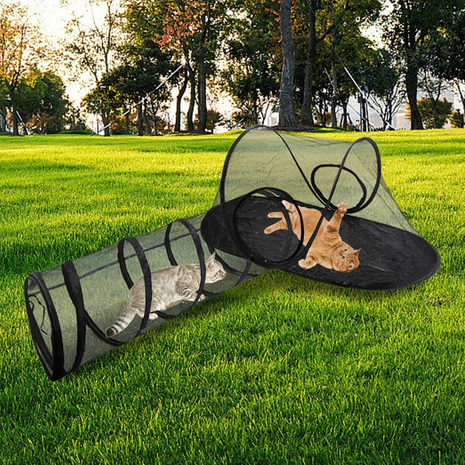 Tunnel pour chat extérieur pliable avec tente d'enceinte pour chats d'intérieur et d'extérieur