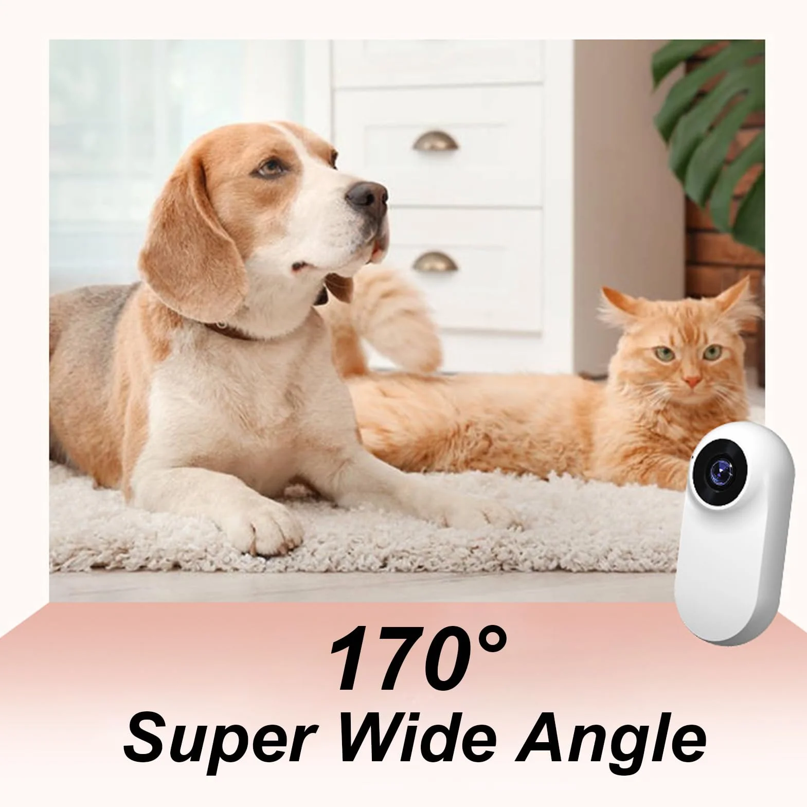 Caméra pour Collier pour Animaux de Compagnie Denash, écran LCD 1080P Grand Angle 170° Rechargeable USB