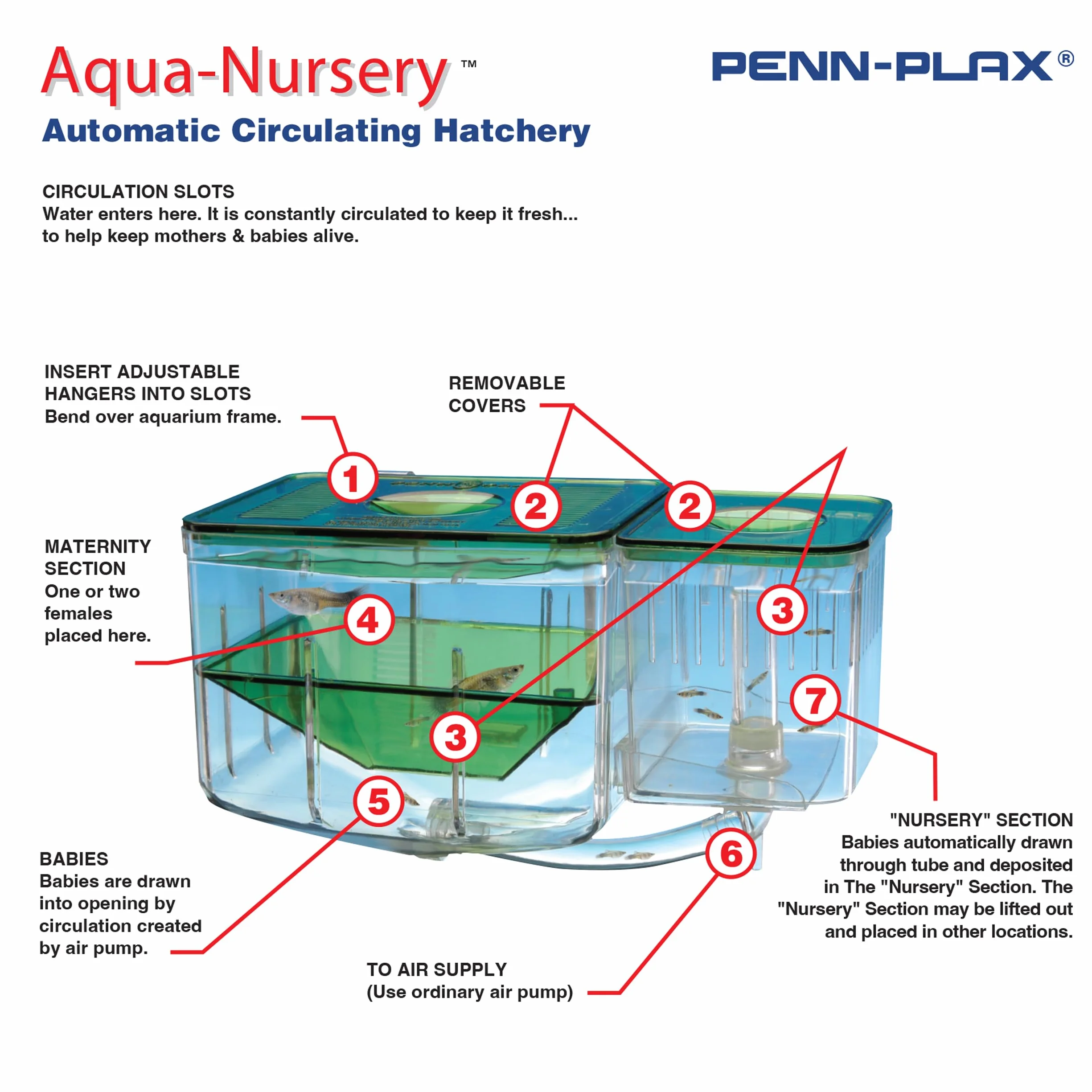 Penn-Plax AN2 Aqua Nursery and Hatchery, boîte d'élévage pour Aquarium