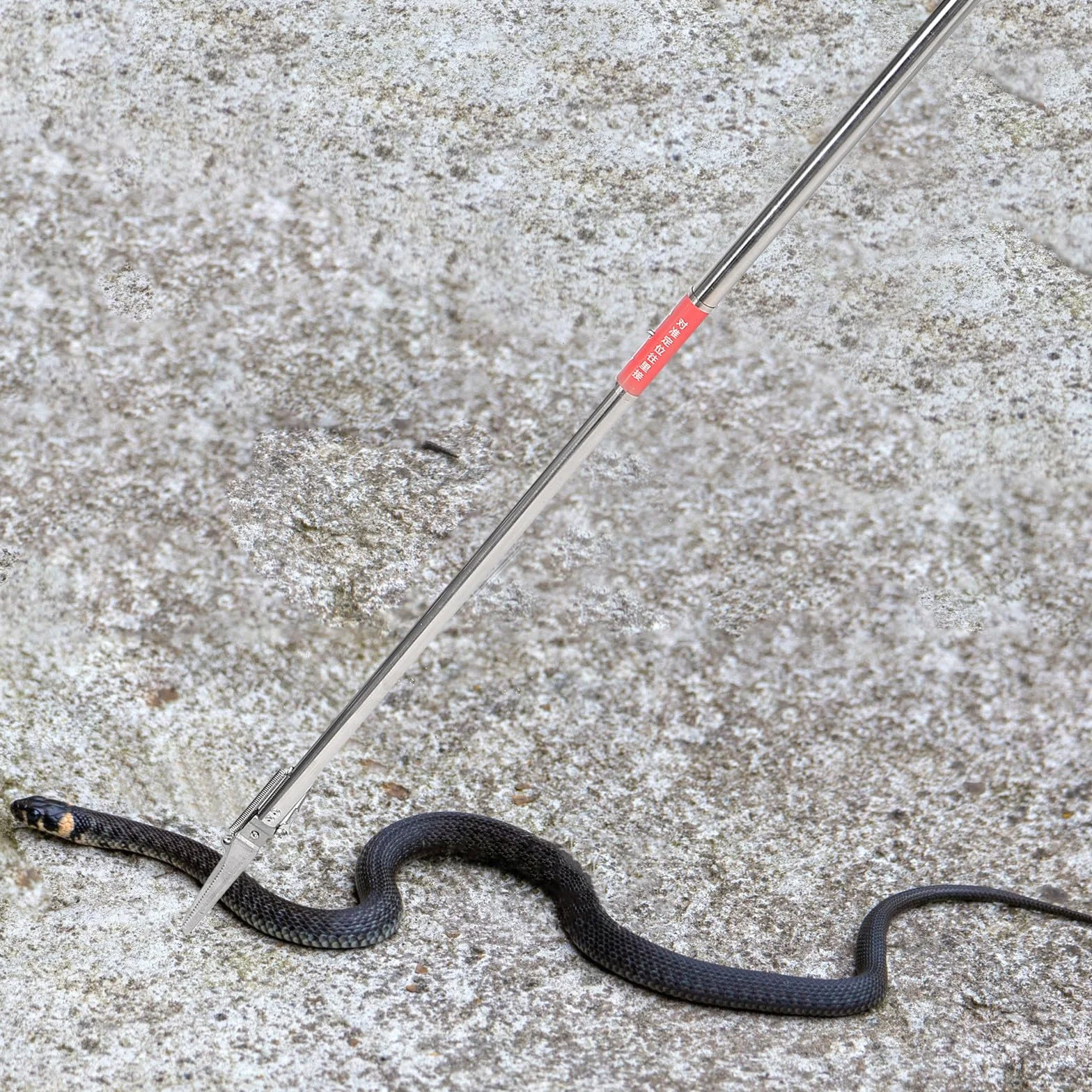 GALPADA Pince à Serpent en Acier Inoxydable Pliable, Outil Portable pour Attraper Les Serpents en Extérieur