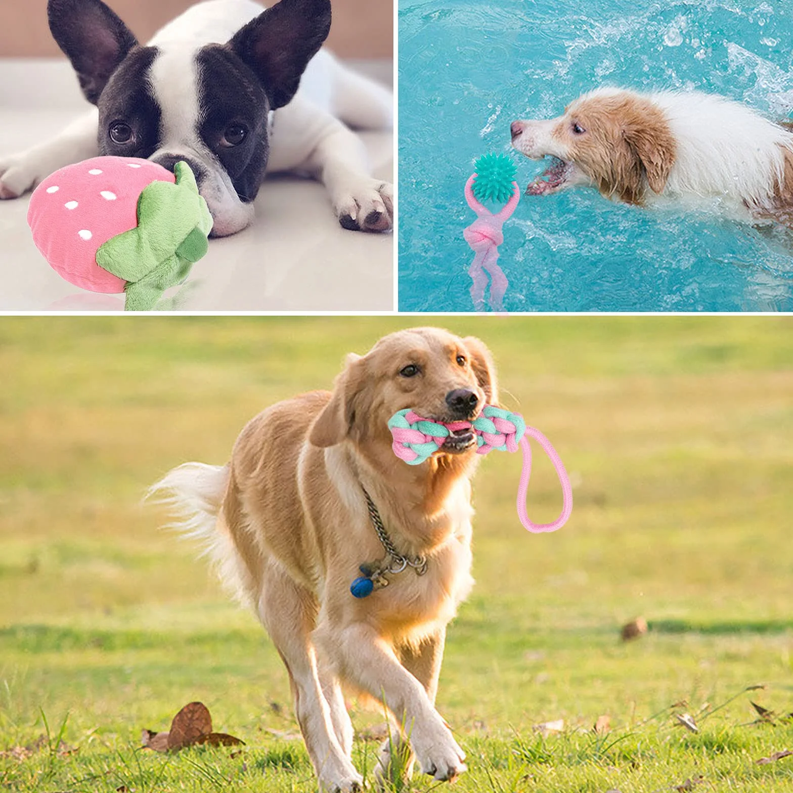 Jouets pour Chien durables Corde à Mâcher Indestructible Coton Naturel Non Toxique pour Petit et Moyen Chien (Rose)