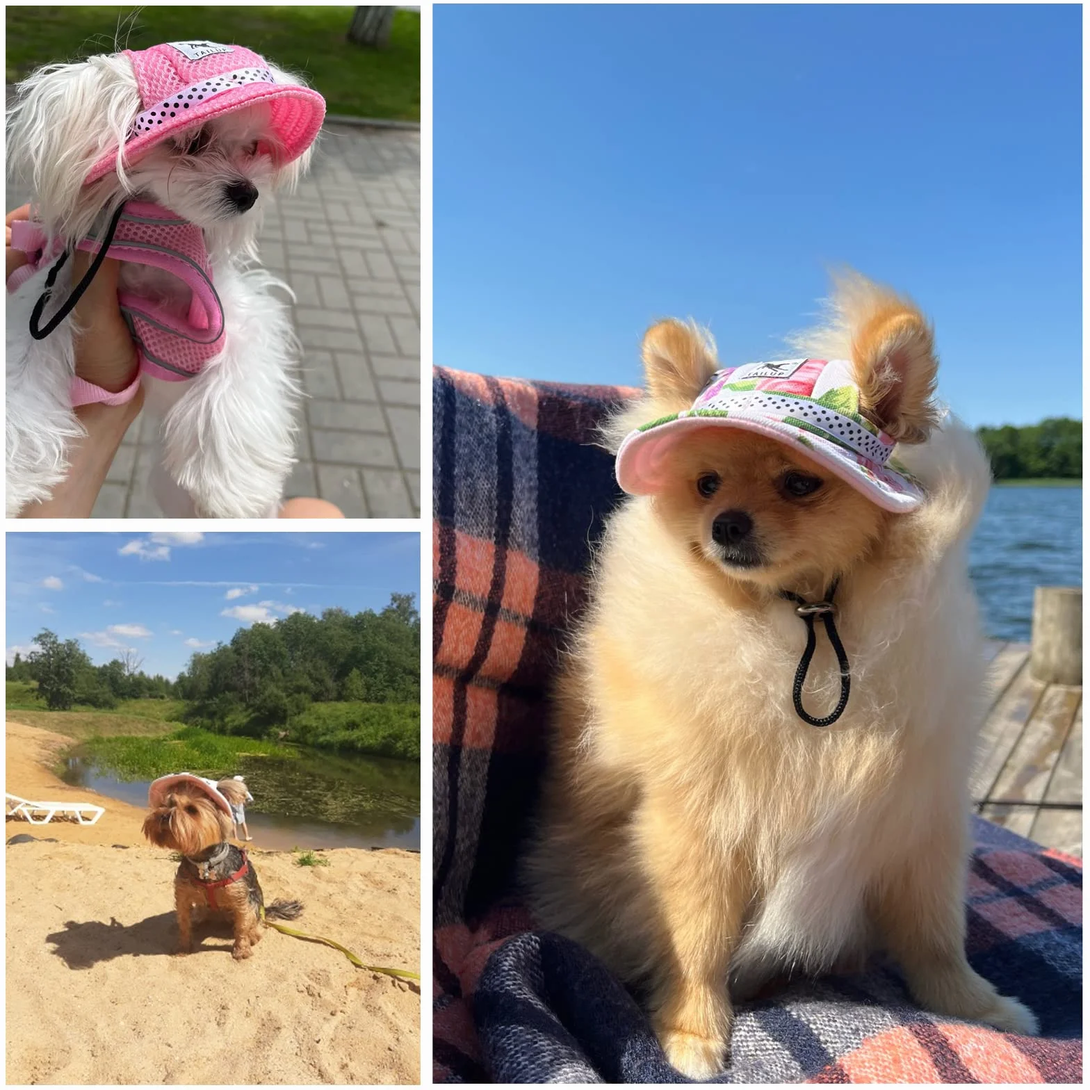 Chapeau de Soleil réglable pour Chien - Casquette de Baseball avec Trous d'oreille - Visière d'été pour Animaux de Compagnie - pour Sports de Plein air - Solaire pour Petits Chiens, Chiots, Chats