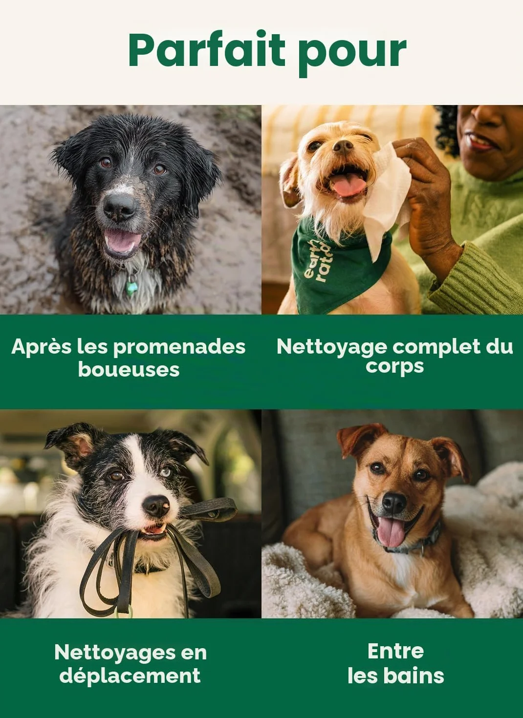 Earth Rated Lingettes hypoallergéniques pour Chiens, Lavande, 100 lingettes