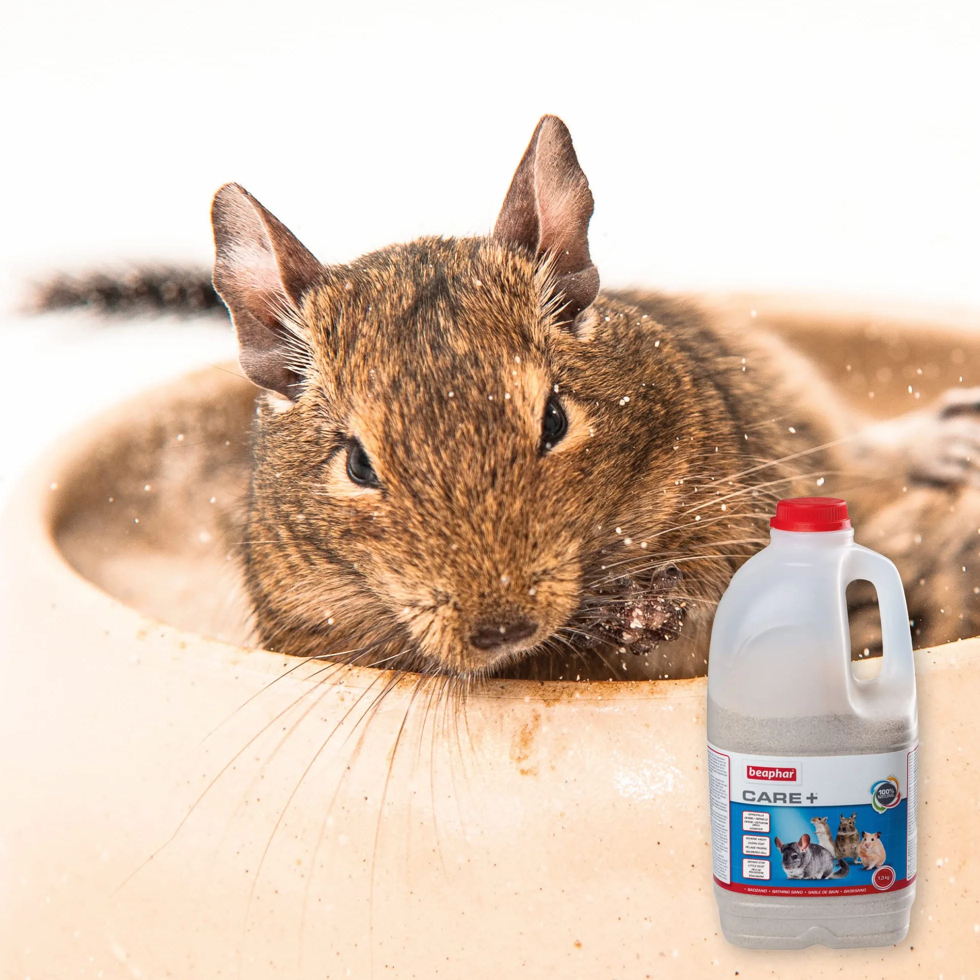 BEAPHAR XTRAVITAL Sable à bain pour chinchilla 1300g