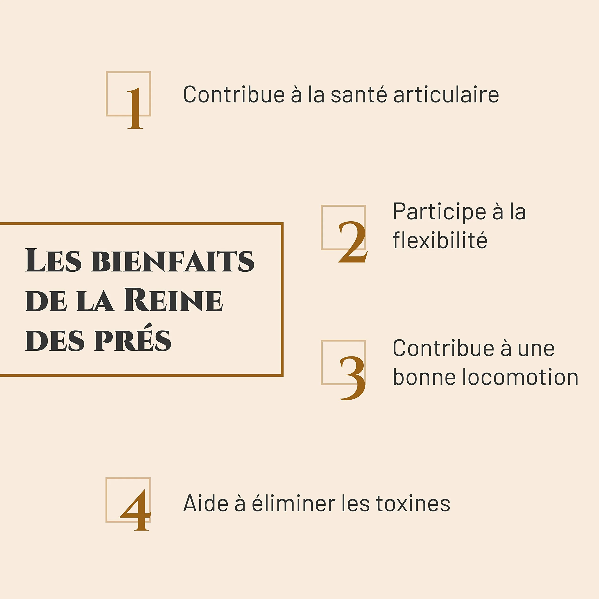 Reine des PRÉS Complément nutritionnel Cheval Seau 800 g Confort articulaire