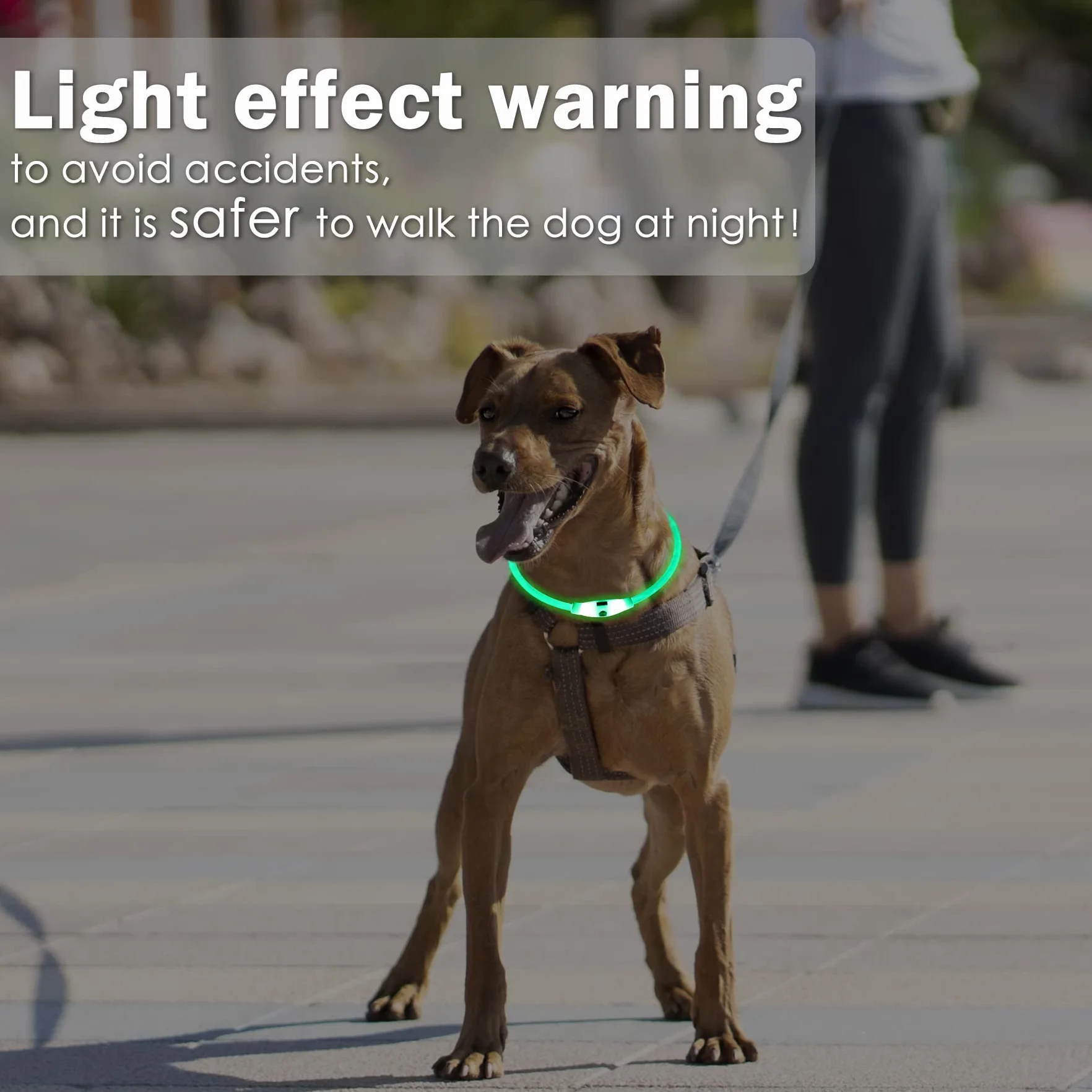 Coolzon Collier Lumineux LED Rechargeable 3 Couleurs Imperméable Ajustable pour Chien Chat
