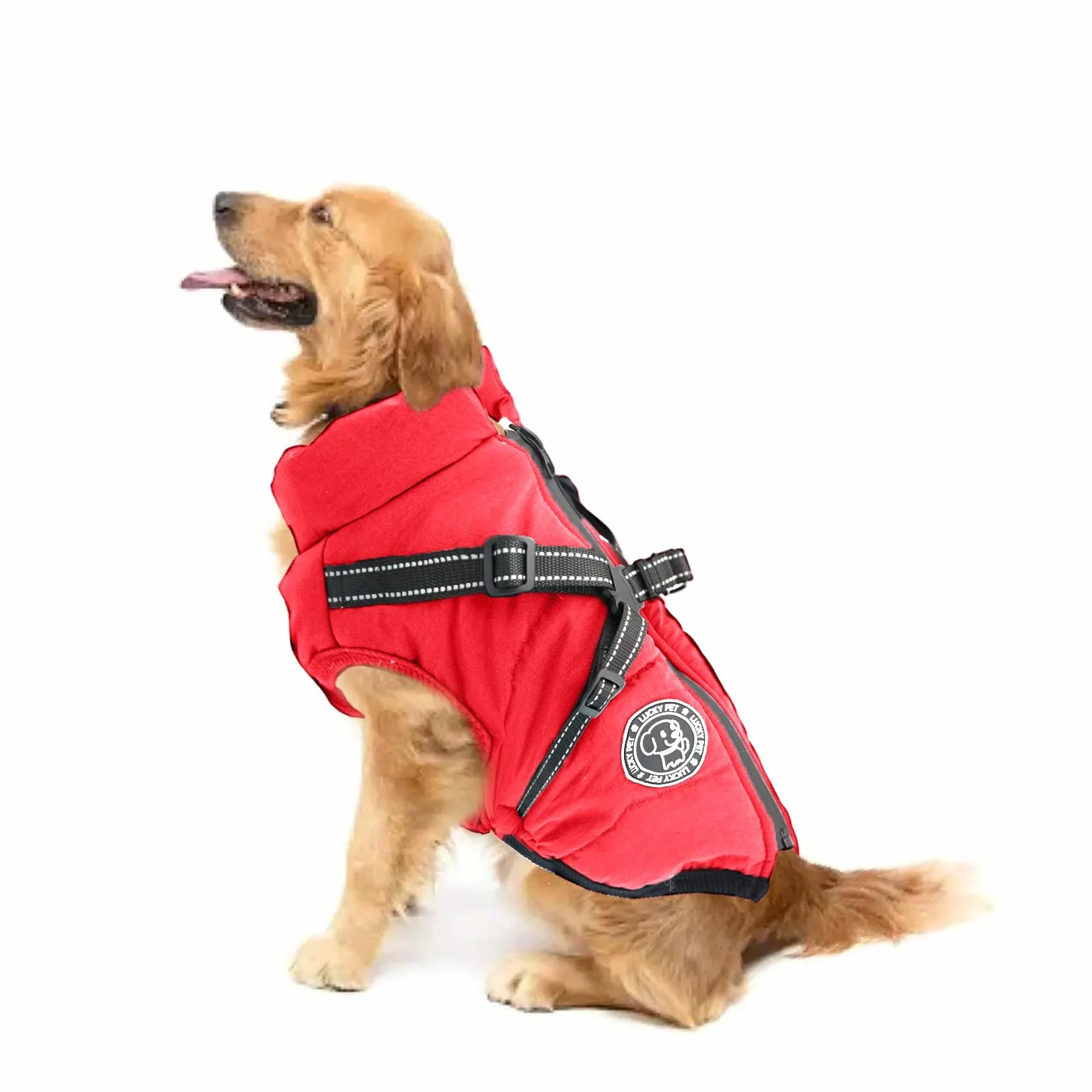 Manteau Imperméable pour Chien avec Harnais - Veste d'Hiver Chaude, Gilet pour Petits et Moyens Chiens
