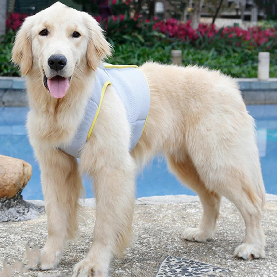 Toddmomy Gilet Refroidissant pour Chien Veste Respirante pour Animaux De Compagnie Modèle XL avec Ceinture Ajustable Et Conception Rafraîchissante