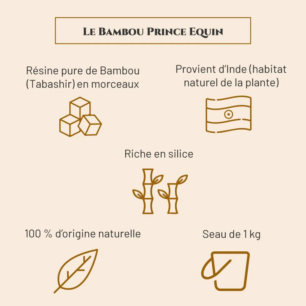 BAMBOU Complément nutritionnel Cheval Seau 1 kg Santé articulations Reminéralisation osseuse