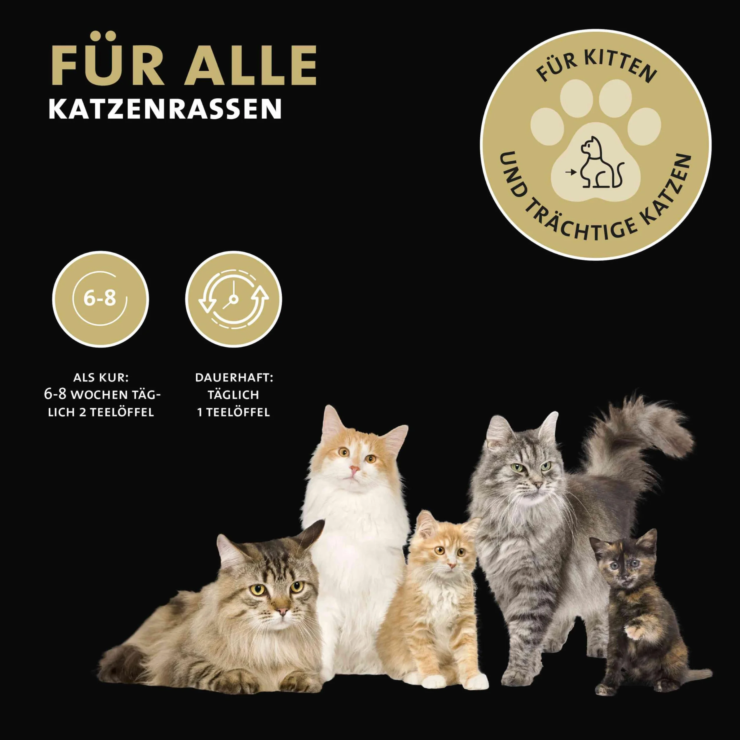Peticare articulations arthrose Poudre pour Chats MSM collagène complément Alimentaire Naturel