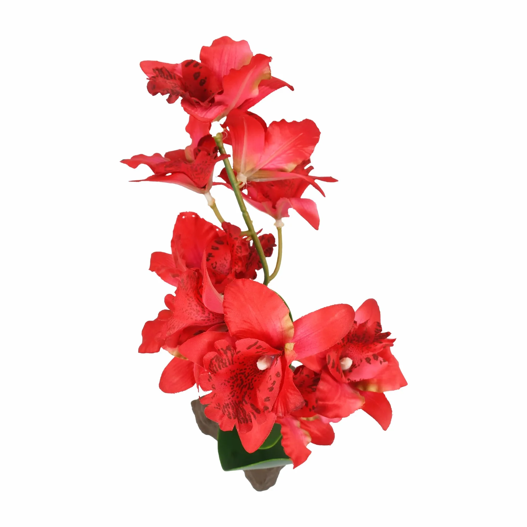 Lucky Reptile Scape it Easy Plante décorative Terrarium Rouge 30 cm