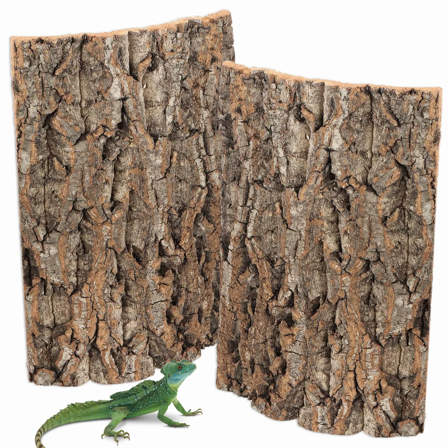 Lot de 2 arrière en écorce de liège pour Terrarium 30 x 20 cm Décoration Naturelle pour Reptiles et Oiseaux