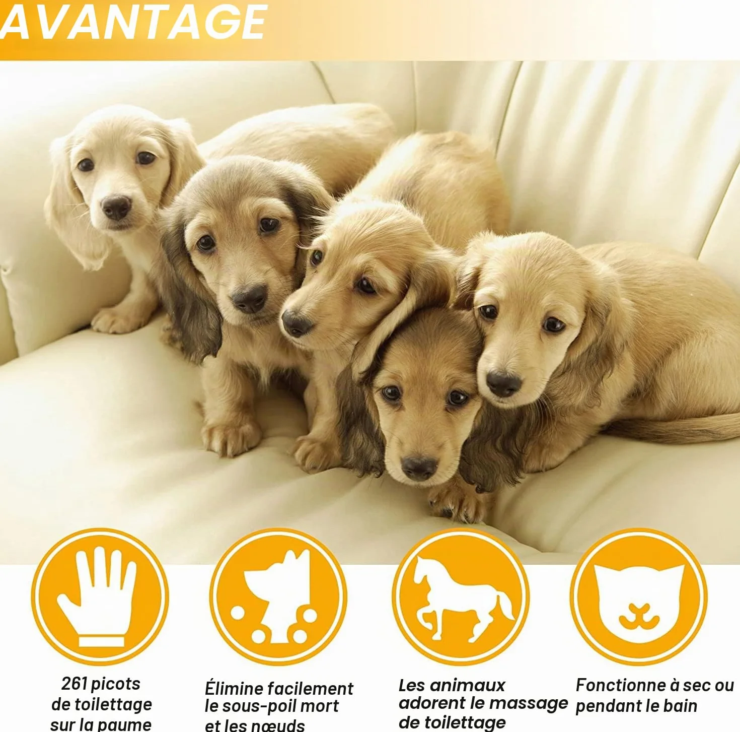 Gants de Toilettage pour Chien Chat Brosse Poil Massage Bain Récupération Ajustable 1 Paire
