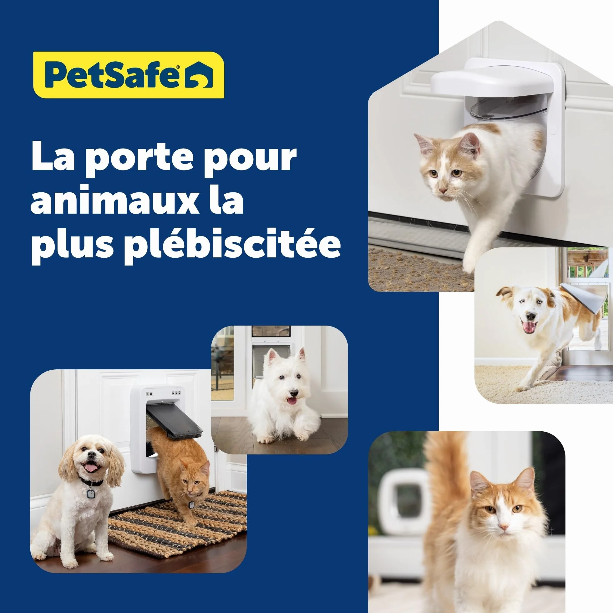 PetSafe Petporte Chatière Automatique Reconnaissance Puce électronique pour Chats 7 kg