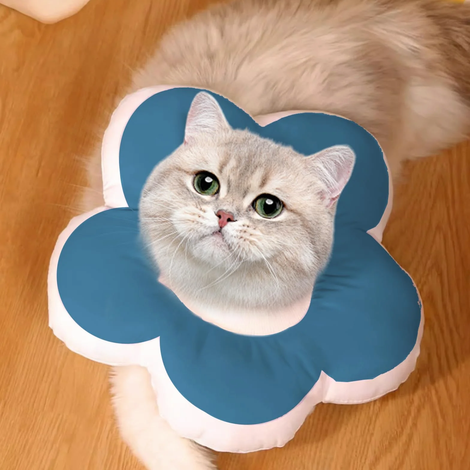 Collier Chat Ajustable Anti-Léchage Élisabéthain Post-Opératoire Bleu Pierre Précieuse